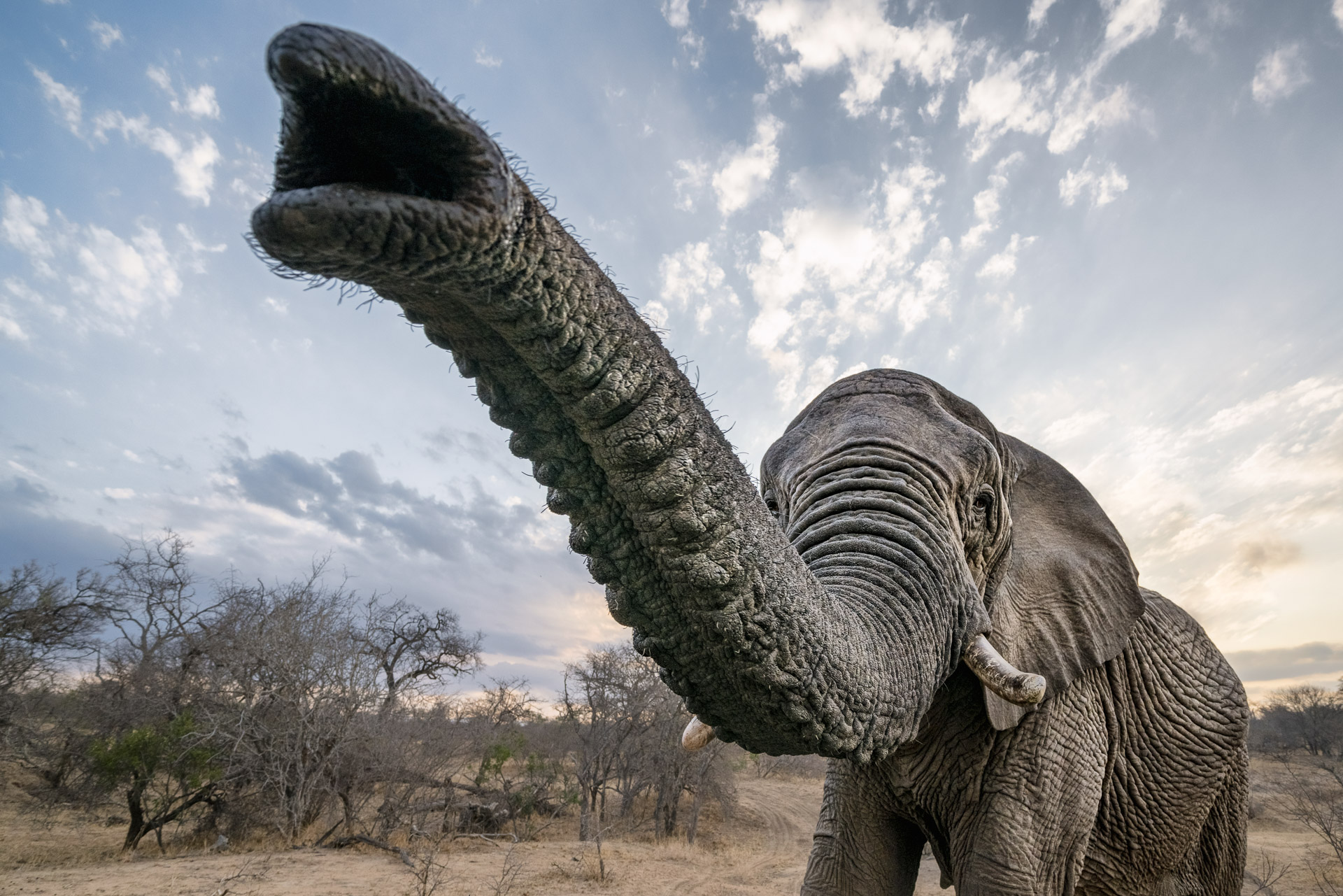 All rights reserved for Benny Rebel
www.Benny-Rebel.com