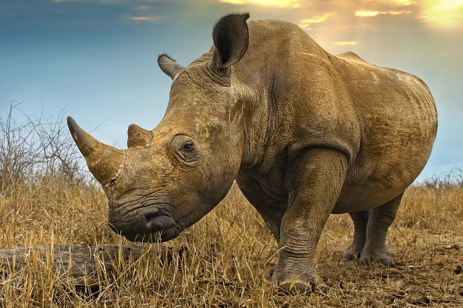 All rights reserved for Benny Rebel
www.Benny-Rebel.com