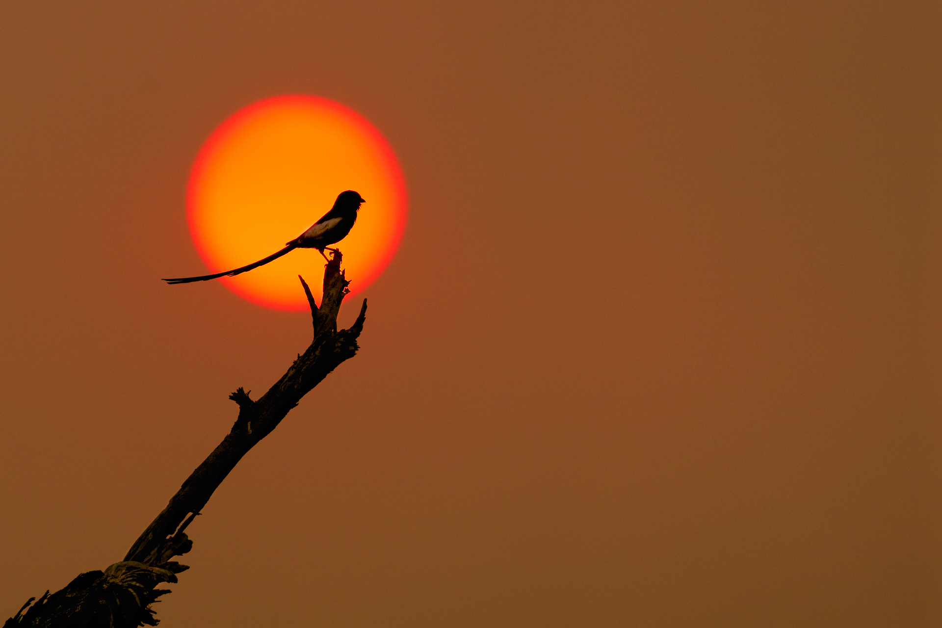 fotoreise-fotosafari-hd-2021-034-Botswana