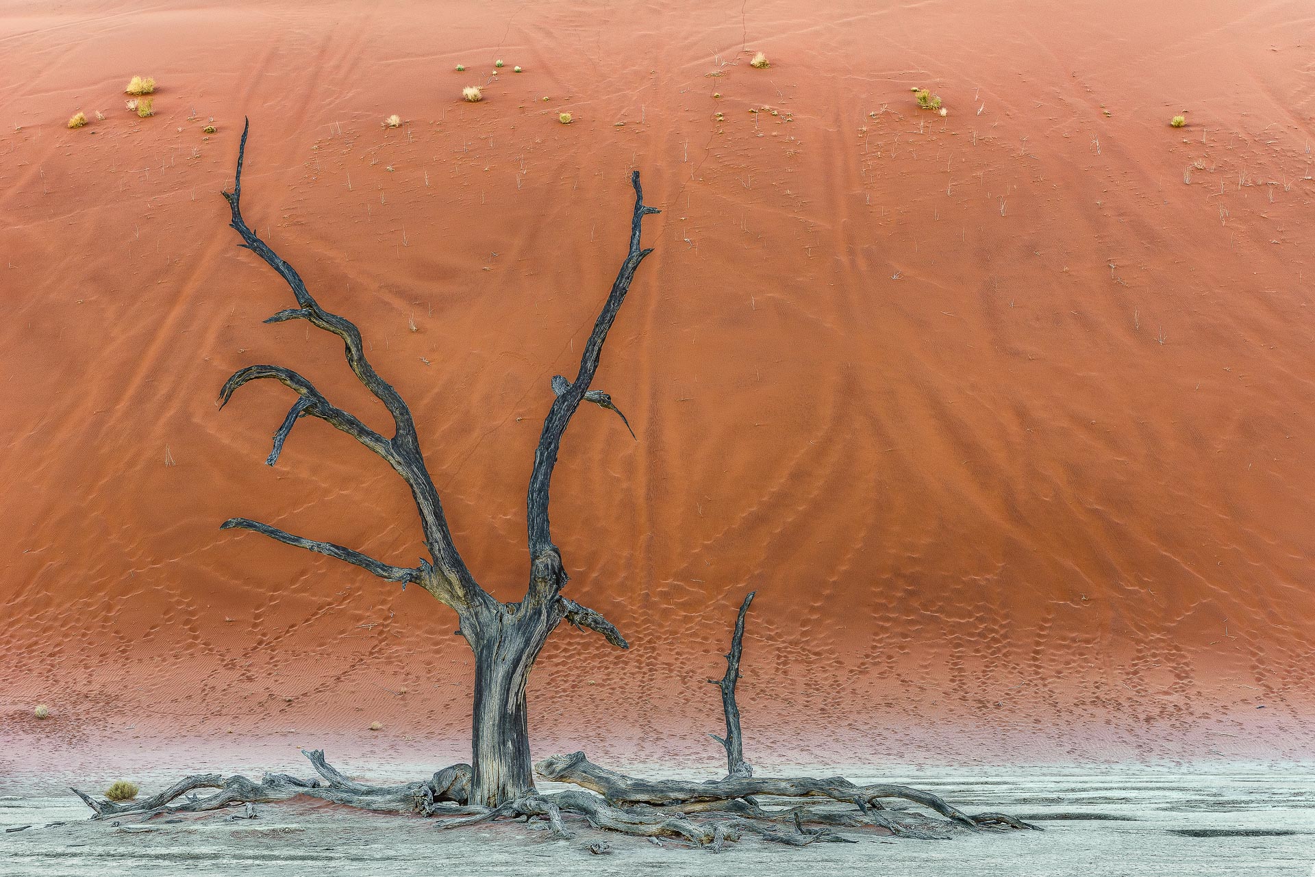 fotoreise-fotosafari-hd-2021-037-Namibia