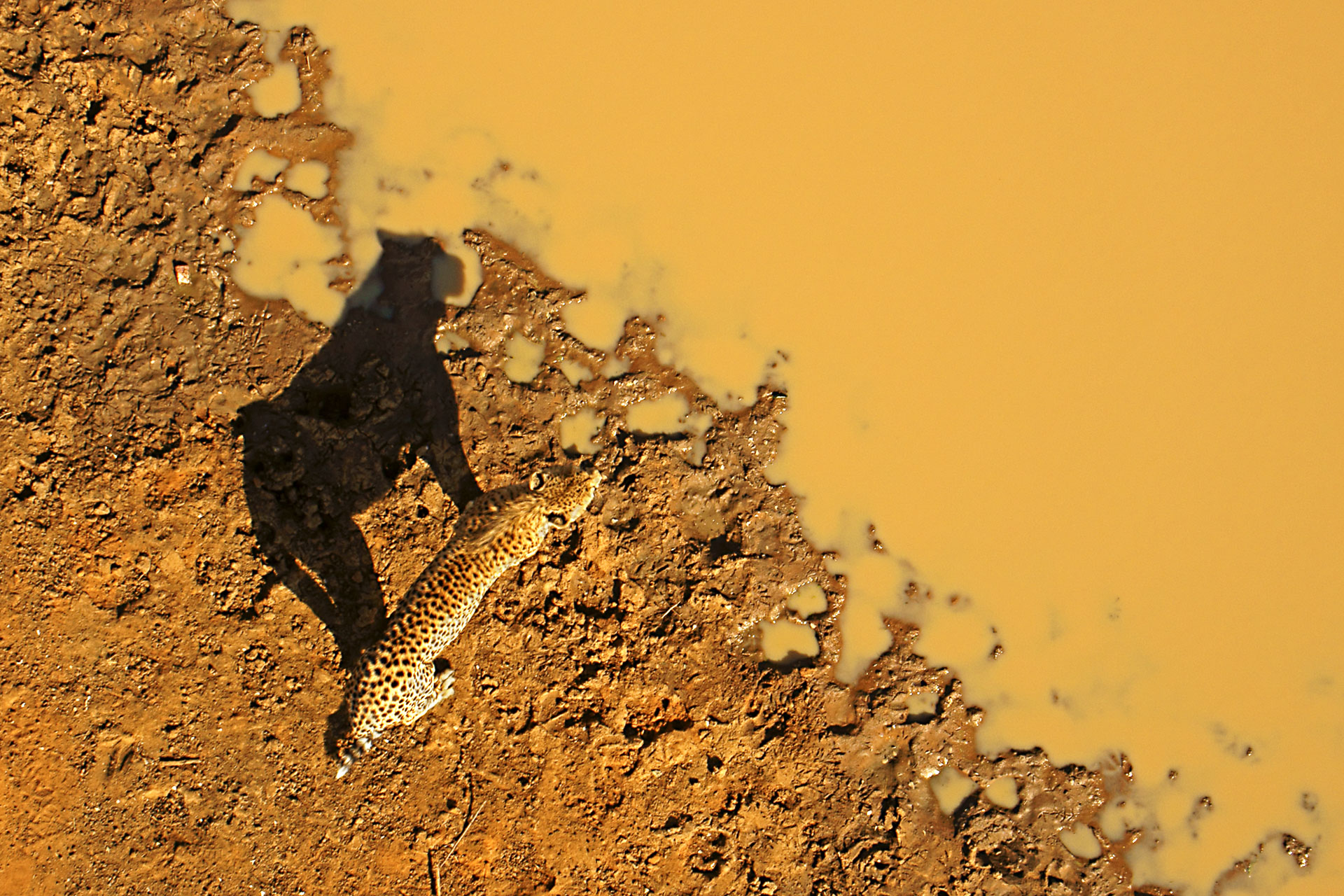 All rights reserved for Benny Rebel
www.Benny-Rebel.com