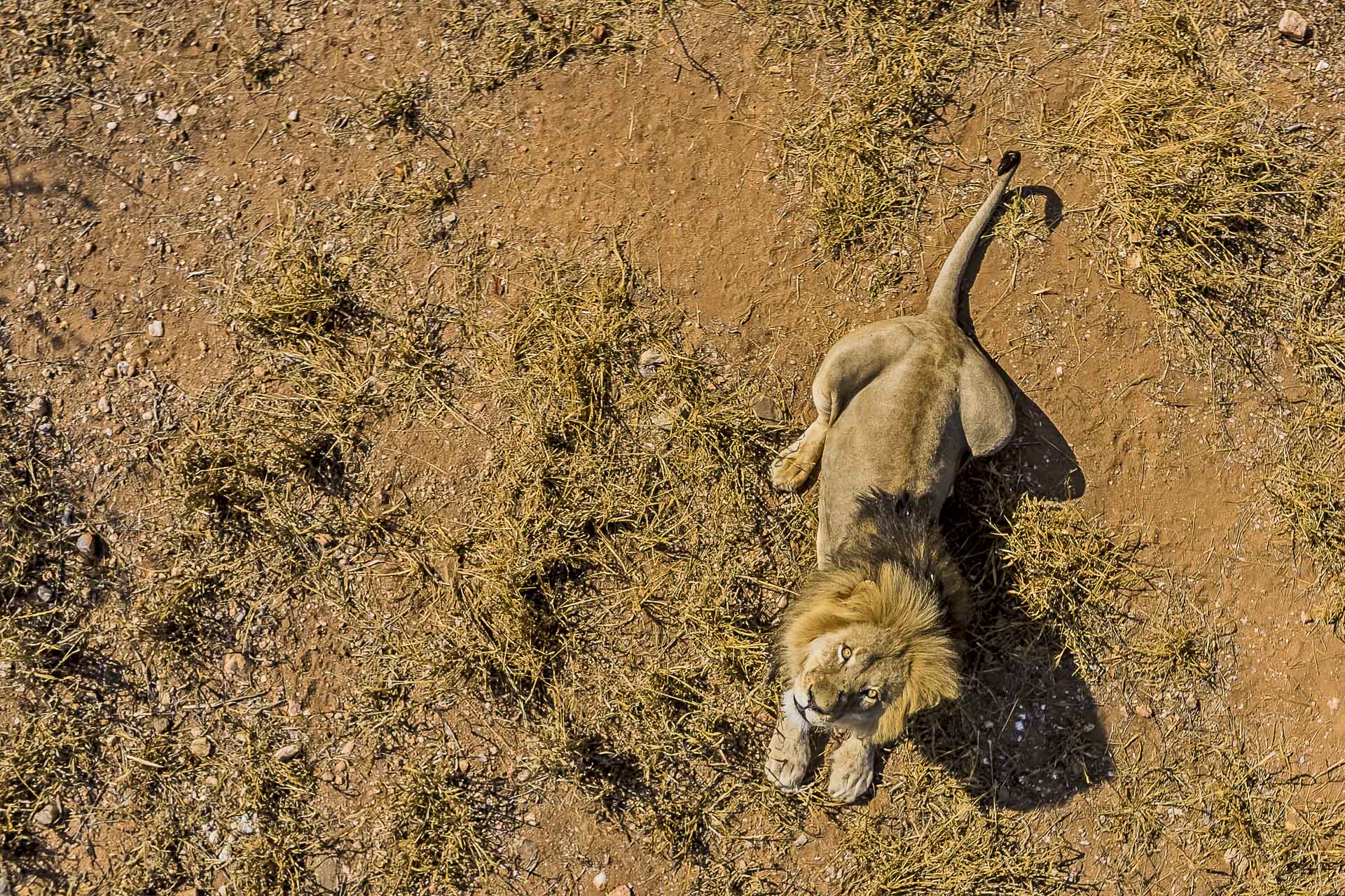 All rights reserved for Benny Rebel
www.Benny-Rebel.com