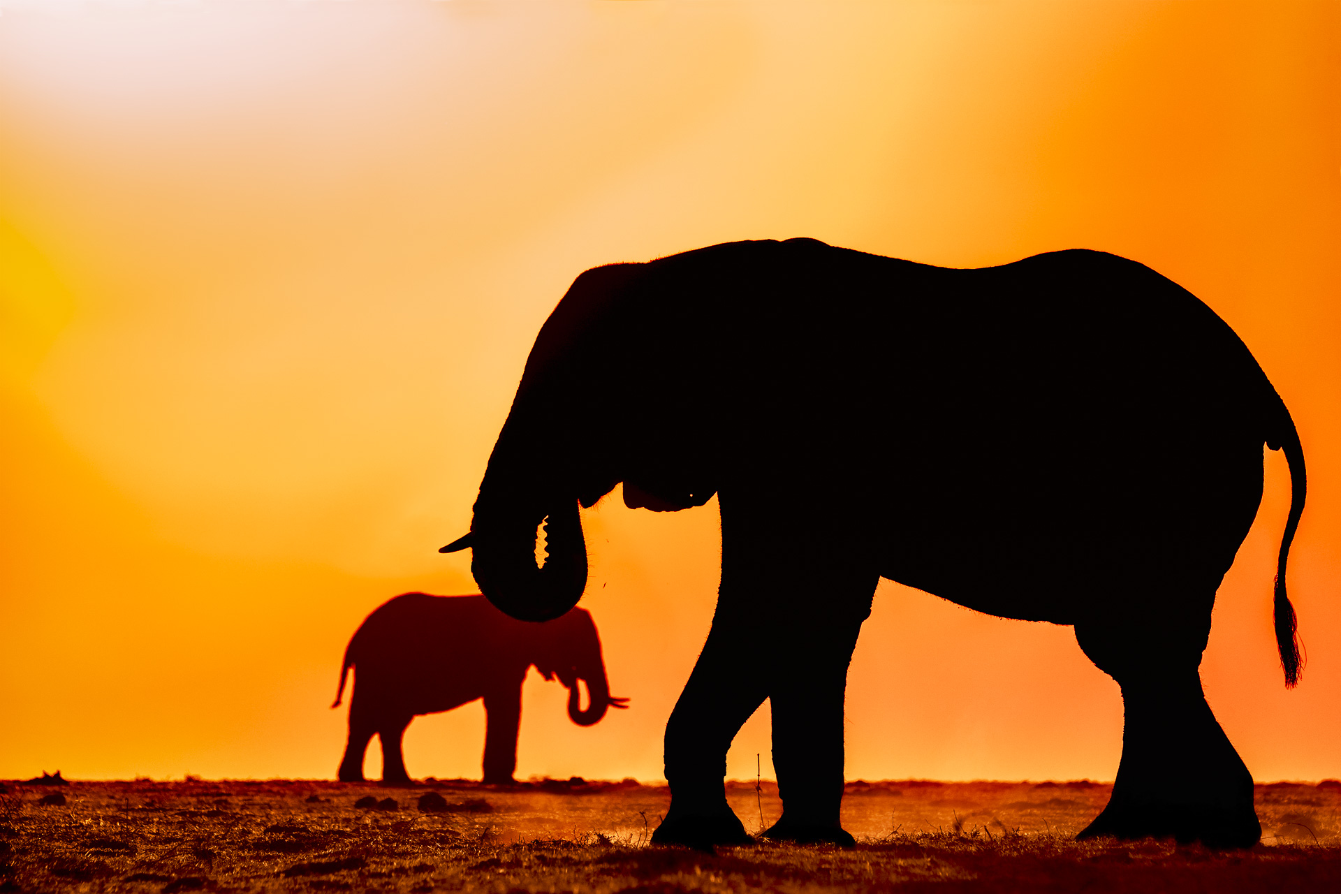 fotoreise-fotosafari-hd-2021-179-Botswana