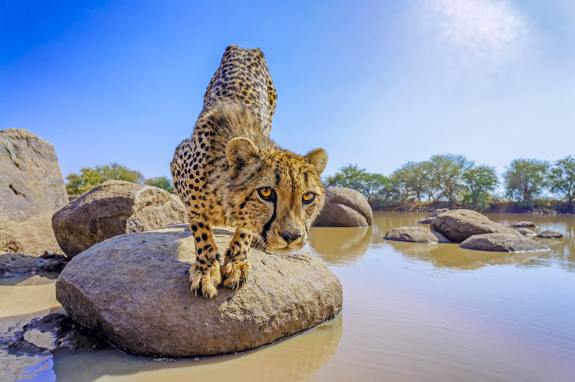 All rights reserved for Benny Rebel
www.Benny-Rebel.com