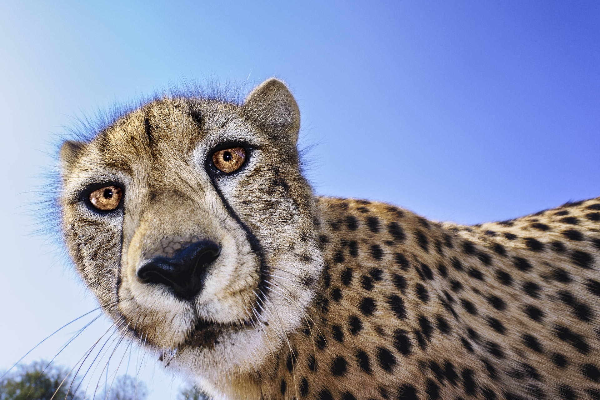 fotoreise-fotosafari-hd-2021-188-suedafrika