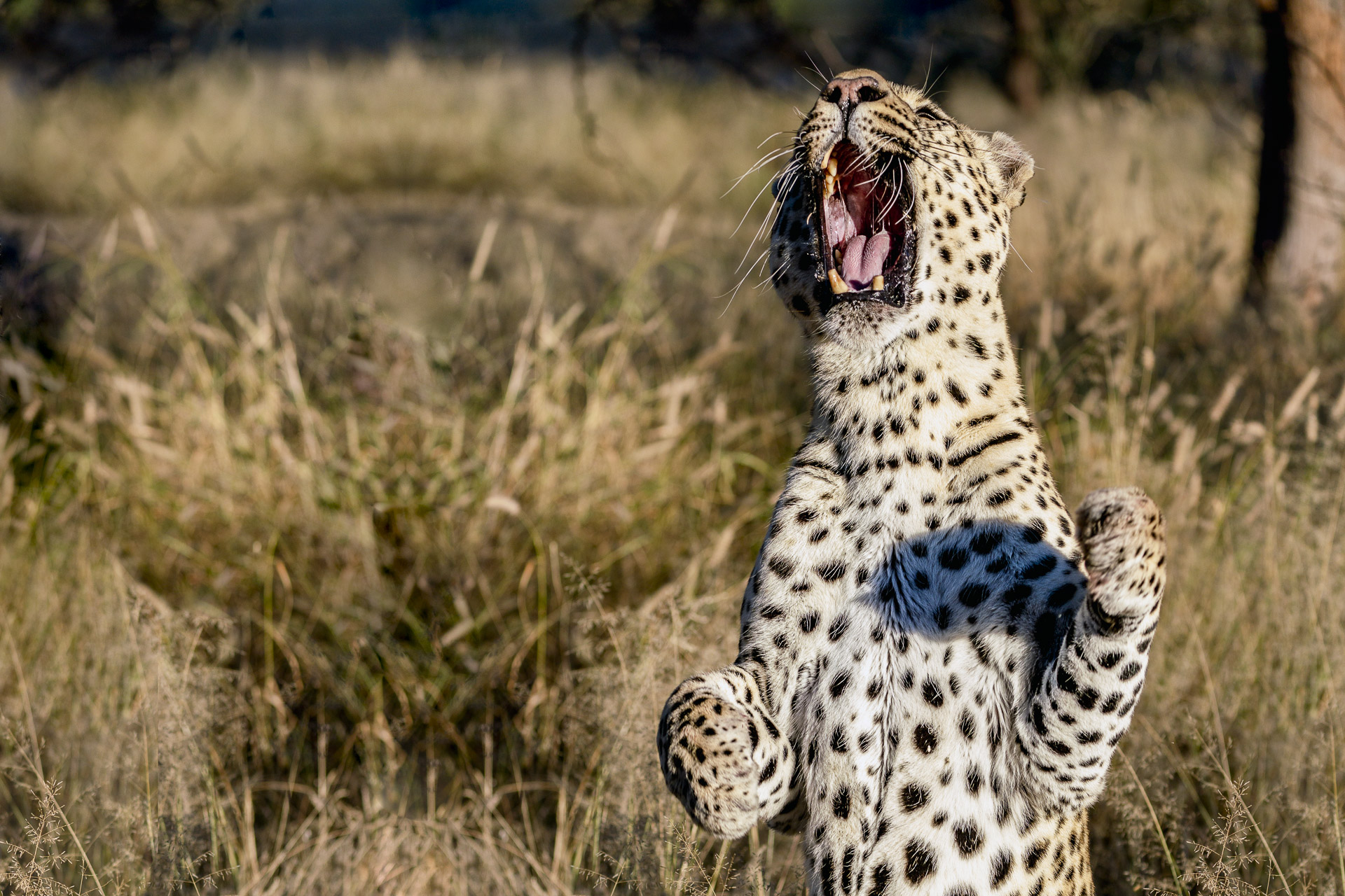fotoreise-fotosafari-hd-2021-204-Namibia
