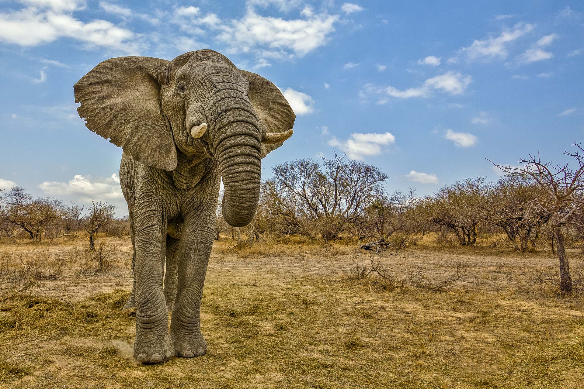 All rights reserved for Benny Rebel
www.Benny-Rebel.com