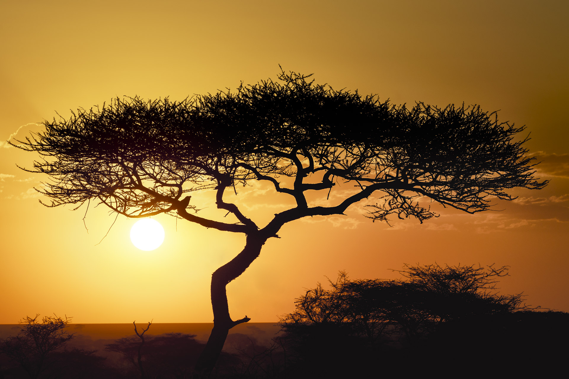 All rights reserved for Benny Rebel
www.Benny-Rebel.com