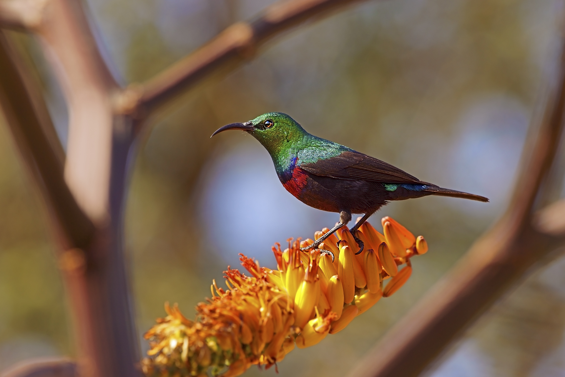 All rights reserved for Benny Rebel
www.Benny-Rebel.com