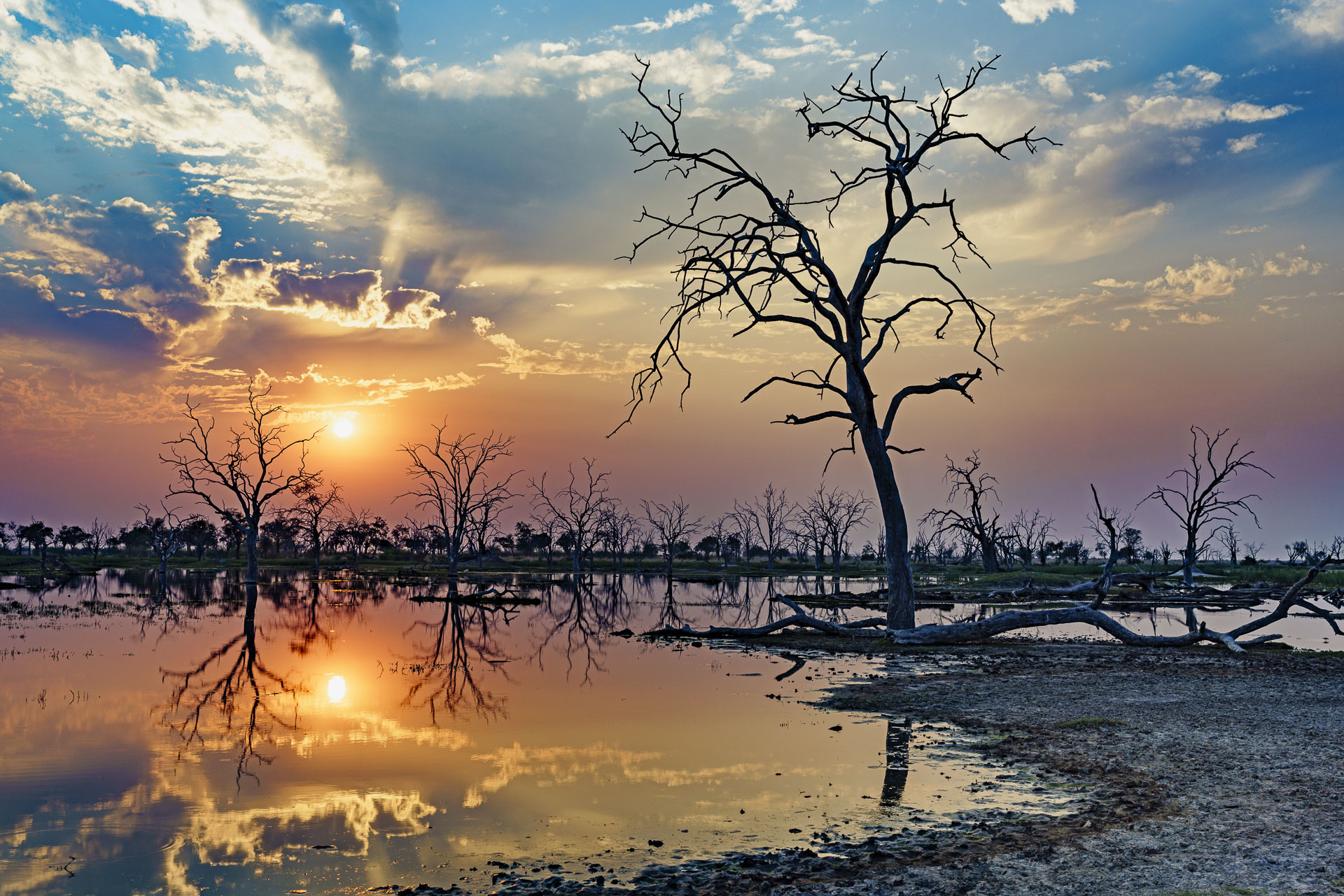 All rights reserved for Benny Rebel
www.Benny-Rebel.com