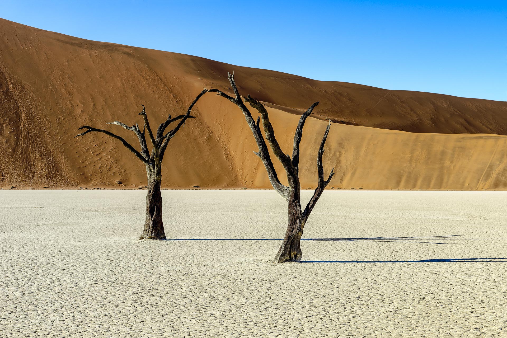 fotoreise-fotosafari-hd-2021-362-Namibia