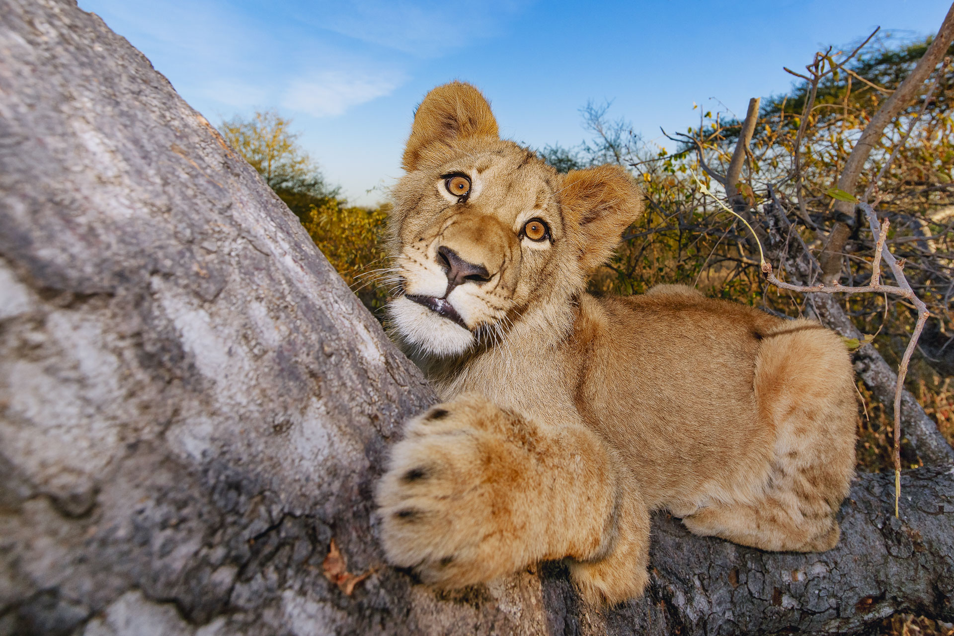 All rights reserved for Benny Rebel
www.Benny-Rebel.com