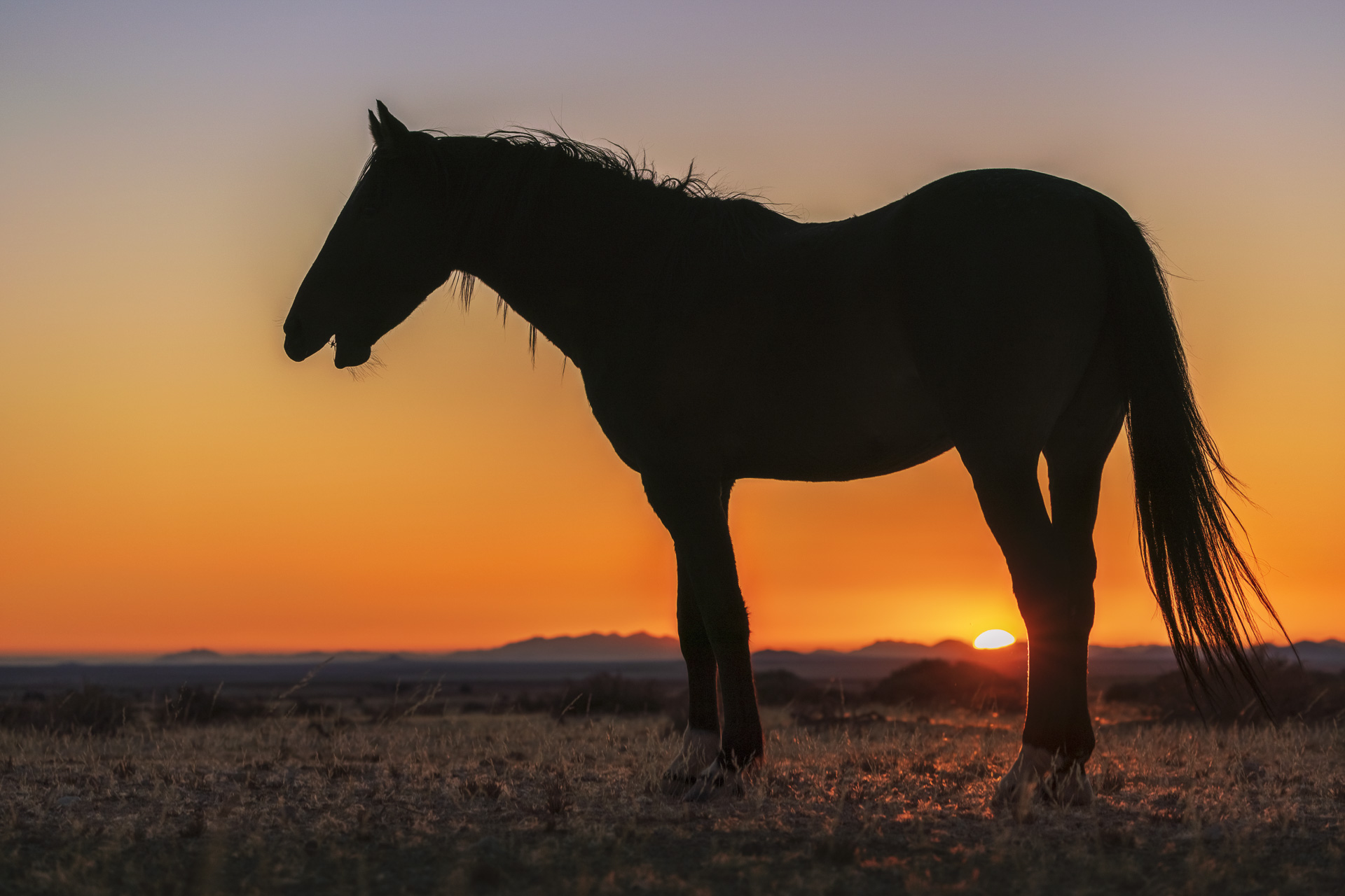 fotoreise-fotosafari-hd-2021-407-Namibia