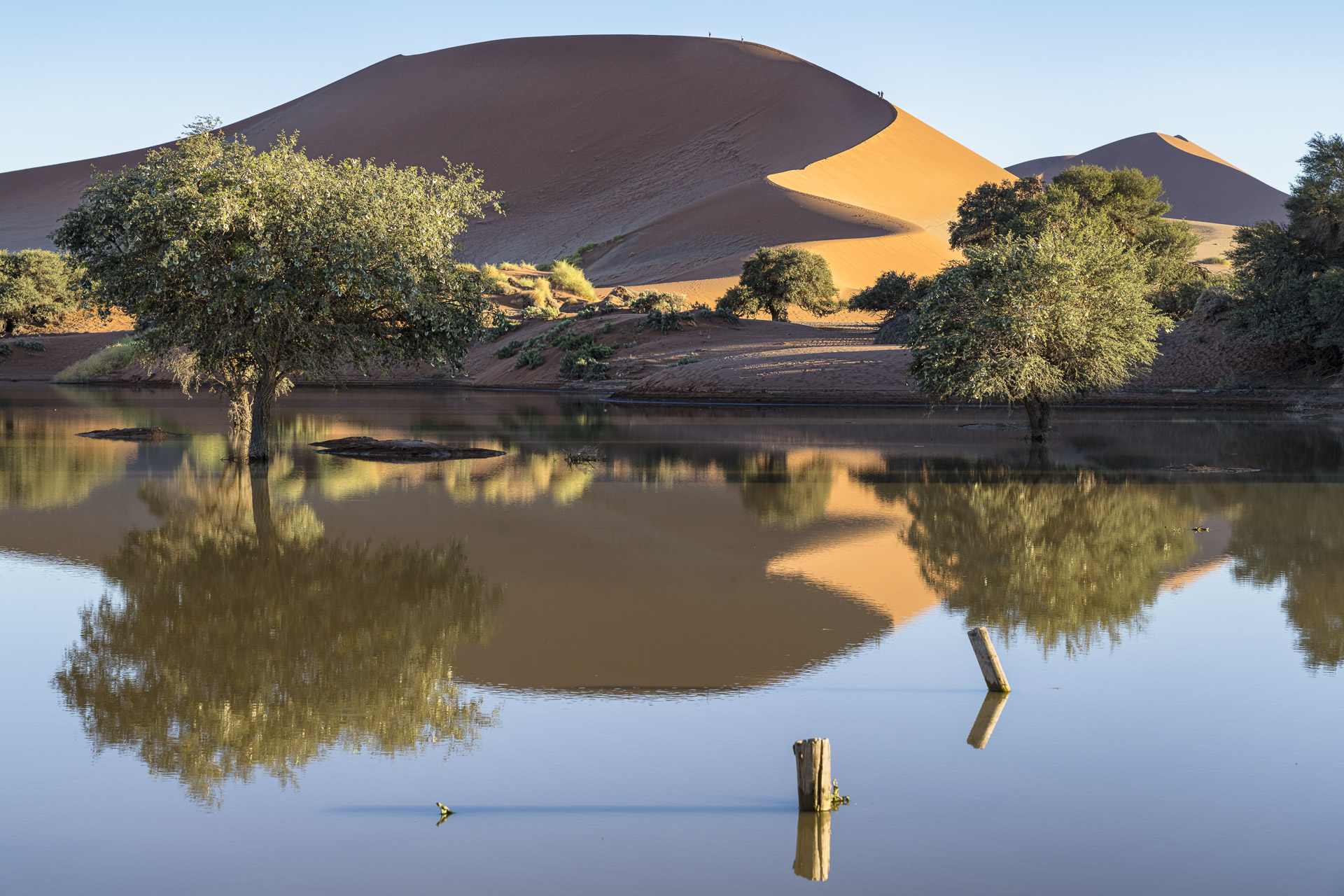 fotoreise-fotosafari-hd-2021-477-Namibia