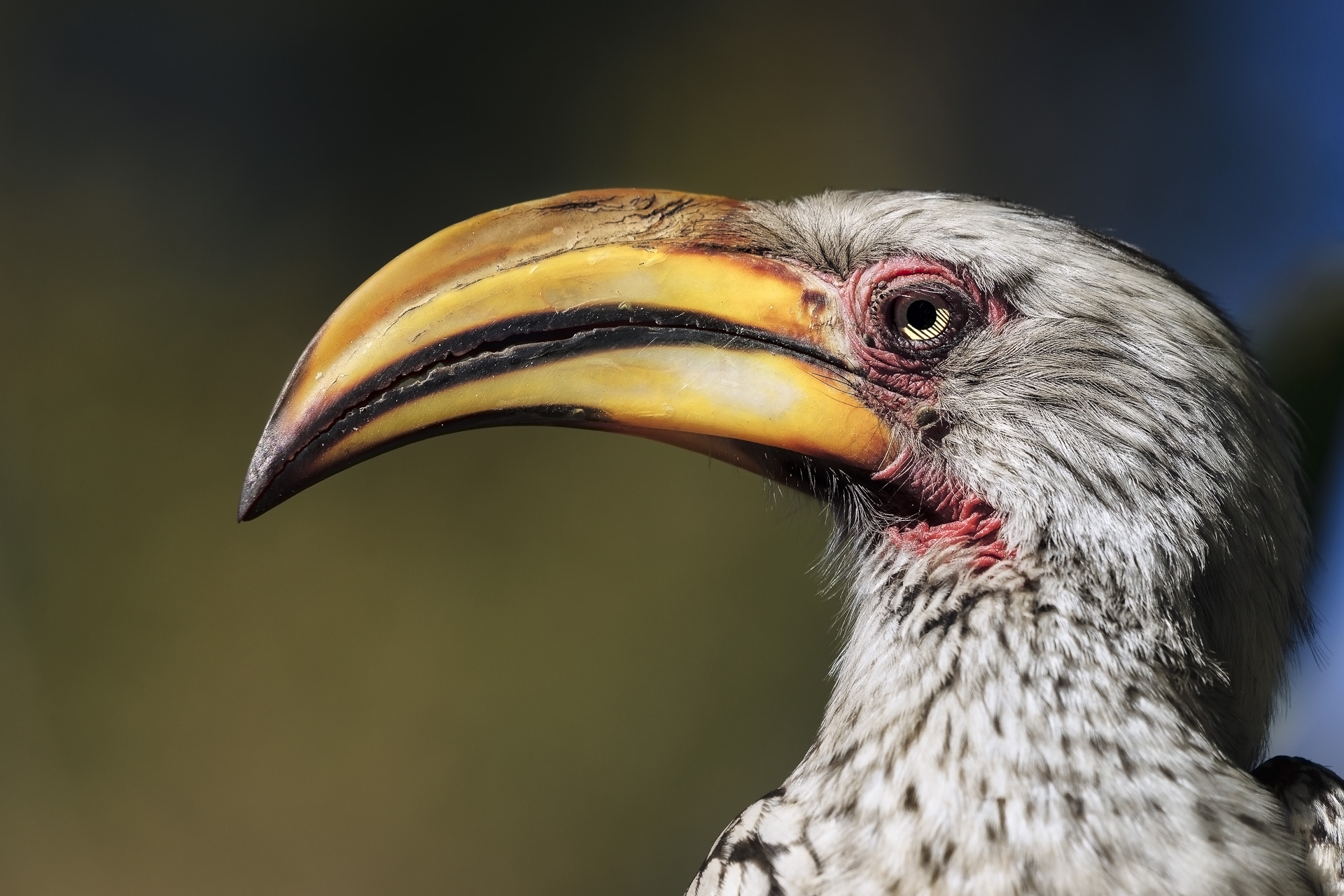 fotoreise-fotosafari-hd-2021-485-suedafrika