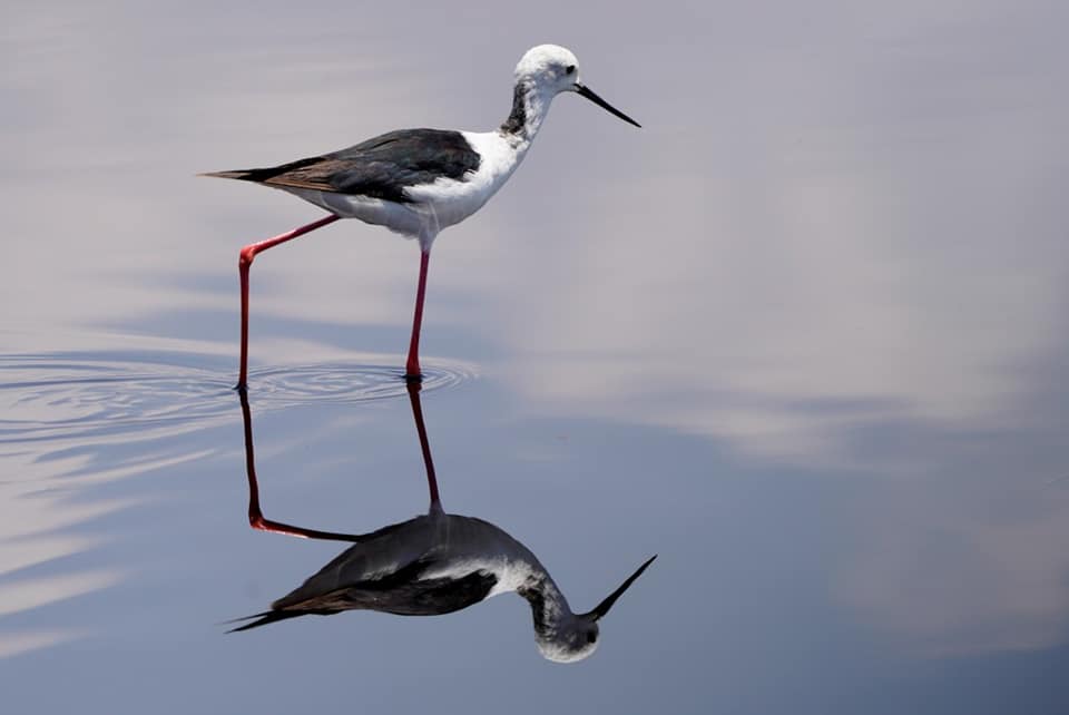 Fotosafari-Tansania-Tierfotografie-2