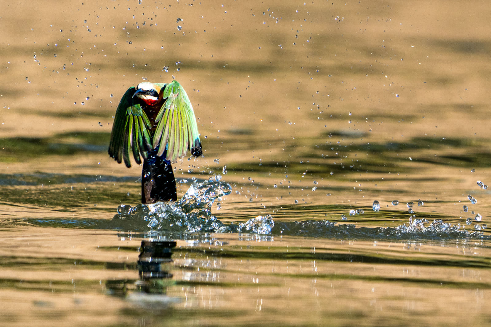 Fotosafari-Sambia-Fotoworkshop-1