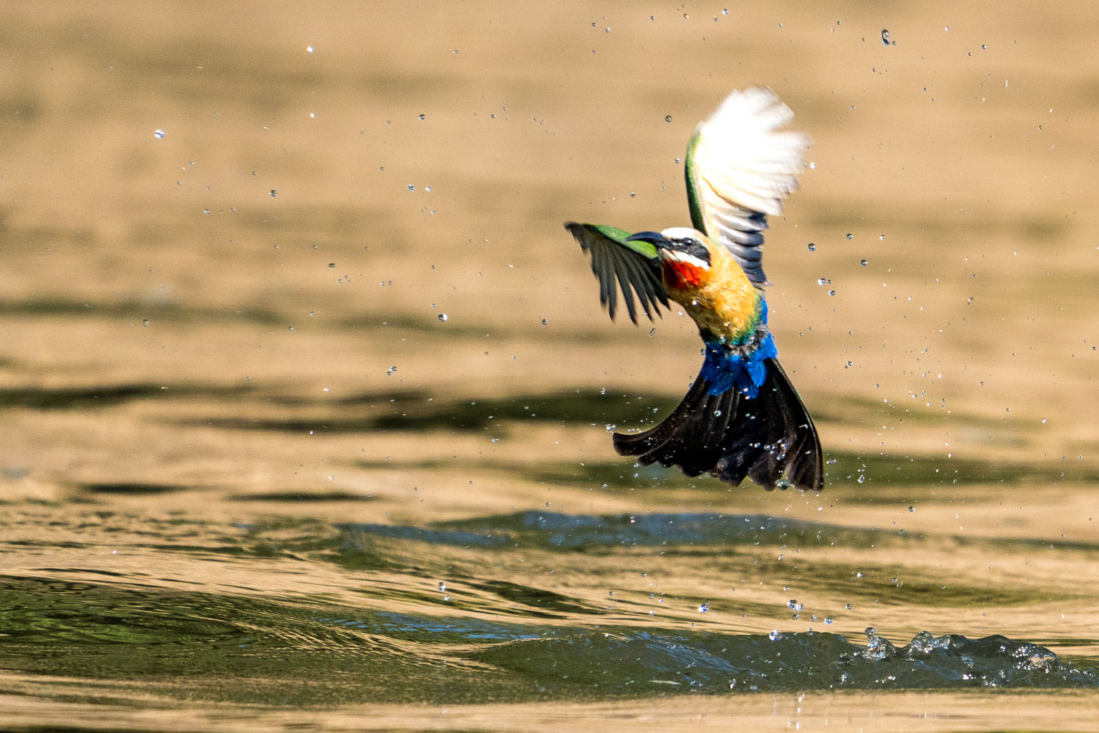 Fotosafari-Sambia-Fotoworkshop-12