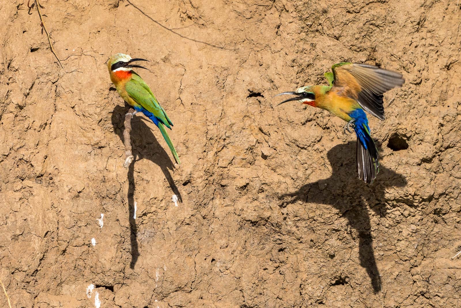 Fotosafari-Sambia-Fotoworkshop-14