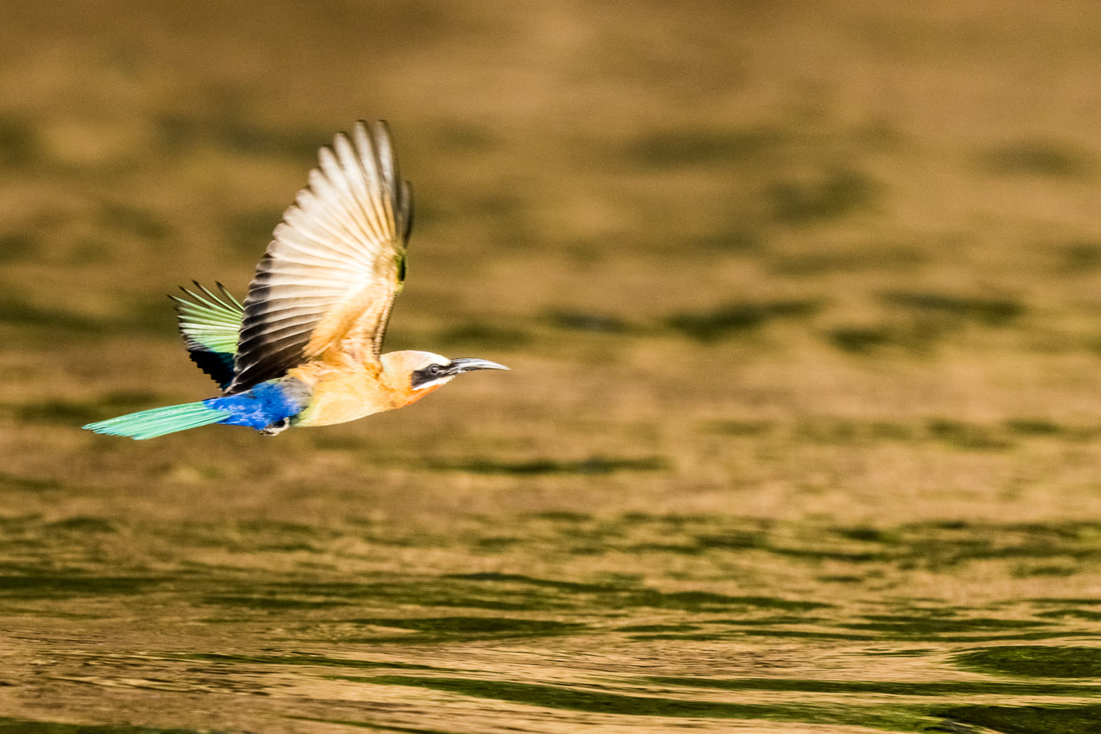 Fotosafari-Sambia-Fotoworkshop-16