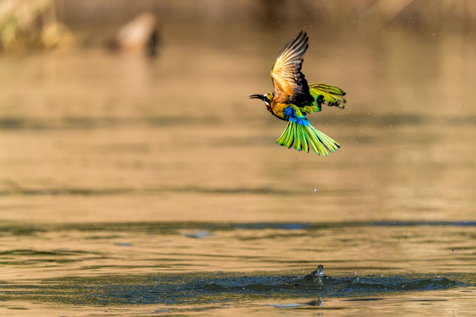 Fotosafari-Sambia-Fotoworkshop-17