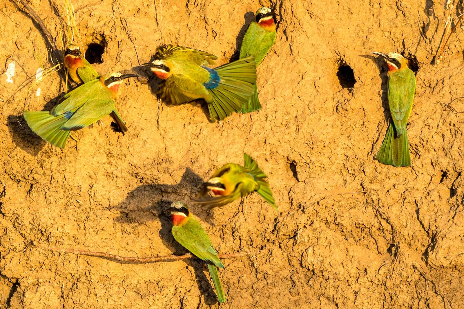 Fotosafari-Sambia-Fotoworkshop-20