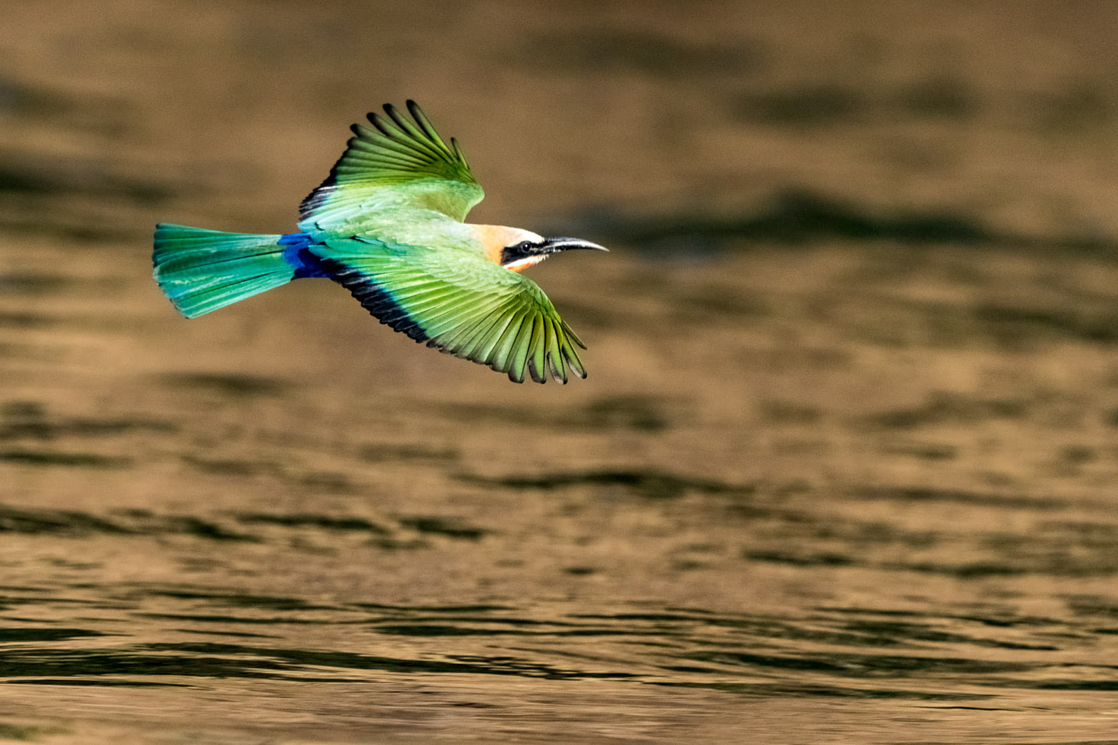 Fotosafari-Sambia-Fotoworkshop-22