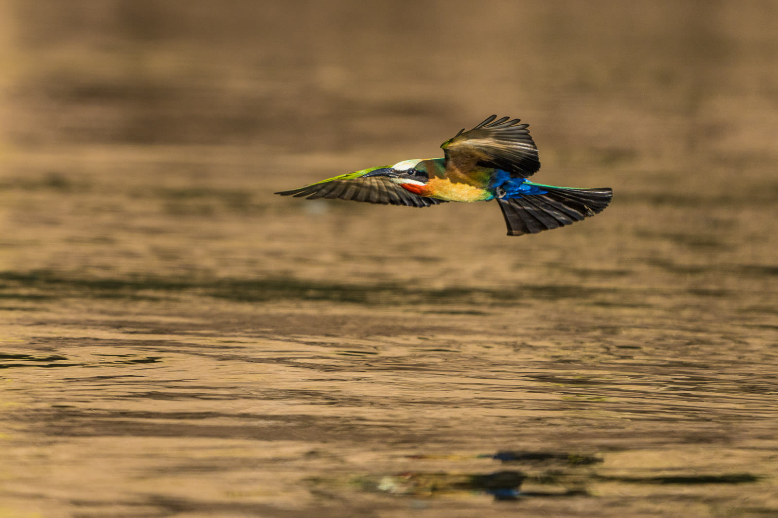 Fotosafari-Sambia-Fotoworkshop-4-1