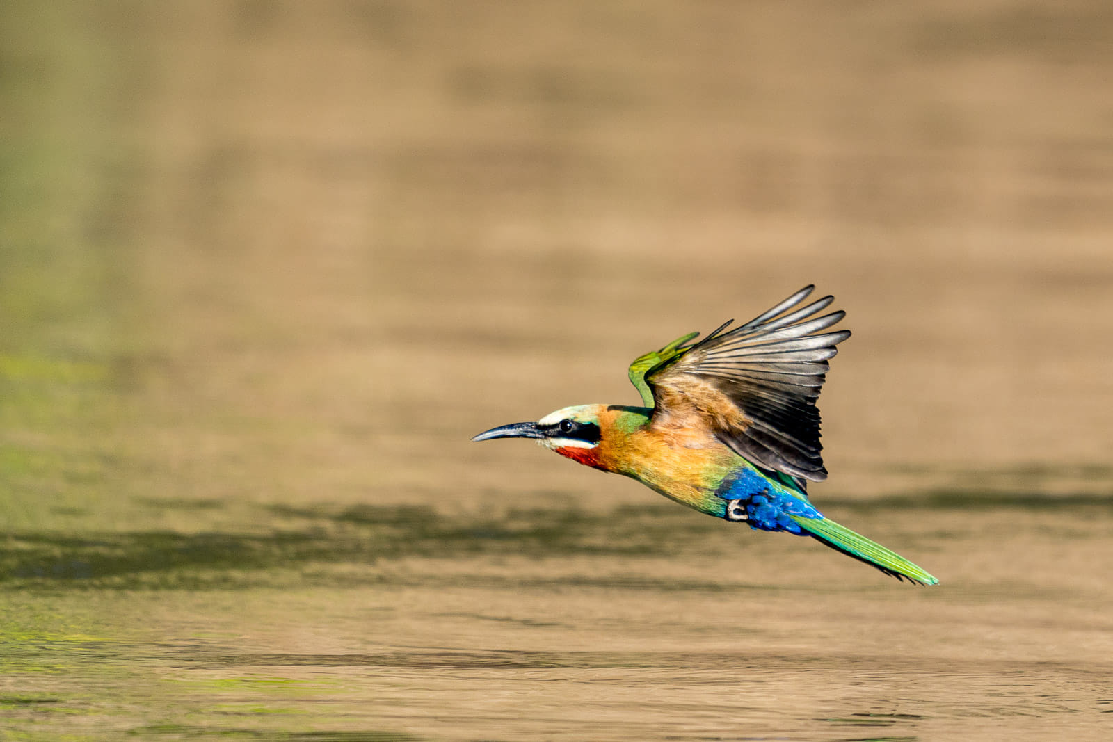 Fotosafari-Sambia-Fotoworkshop-8-1