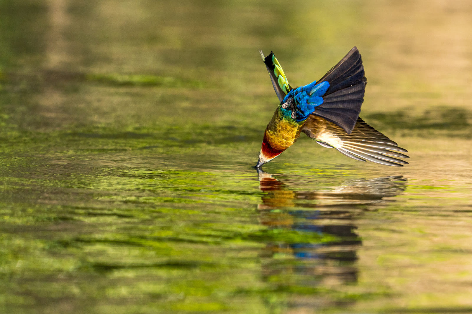 Fotosafari-Sambia-Fotoworkshop-9