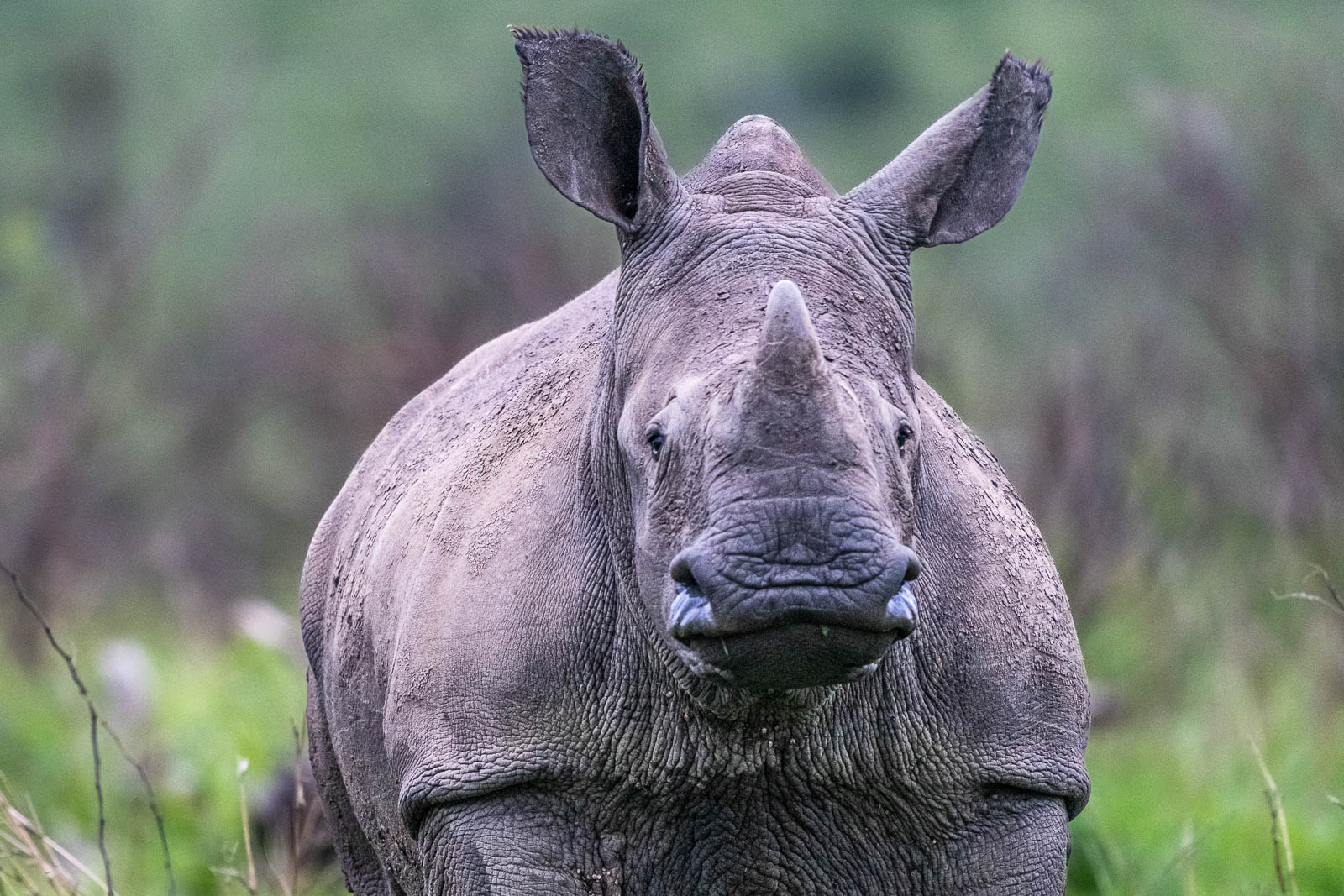 Zululand-Suedafrika-2022-068