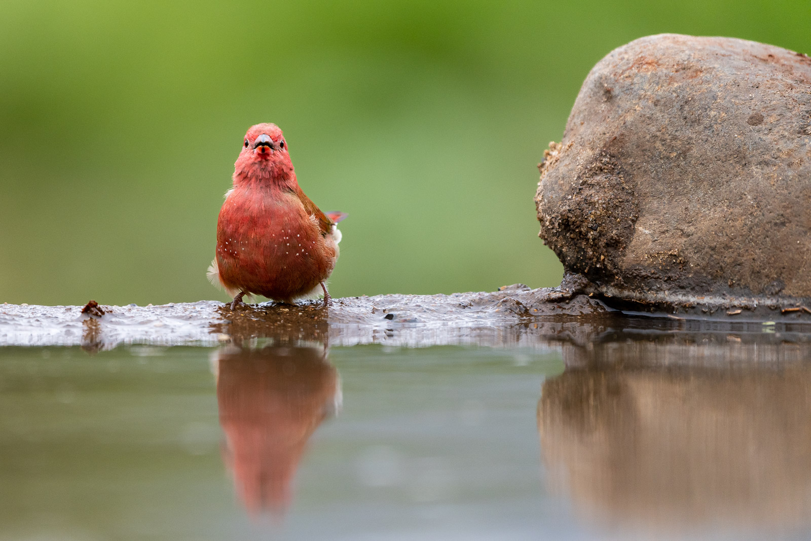 Zululand-Suedafrika-2022-105