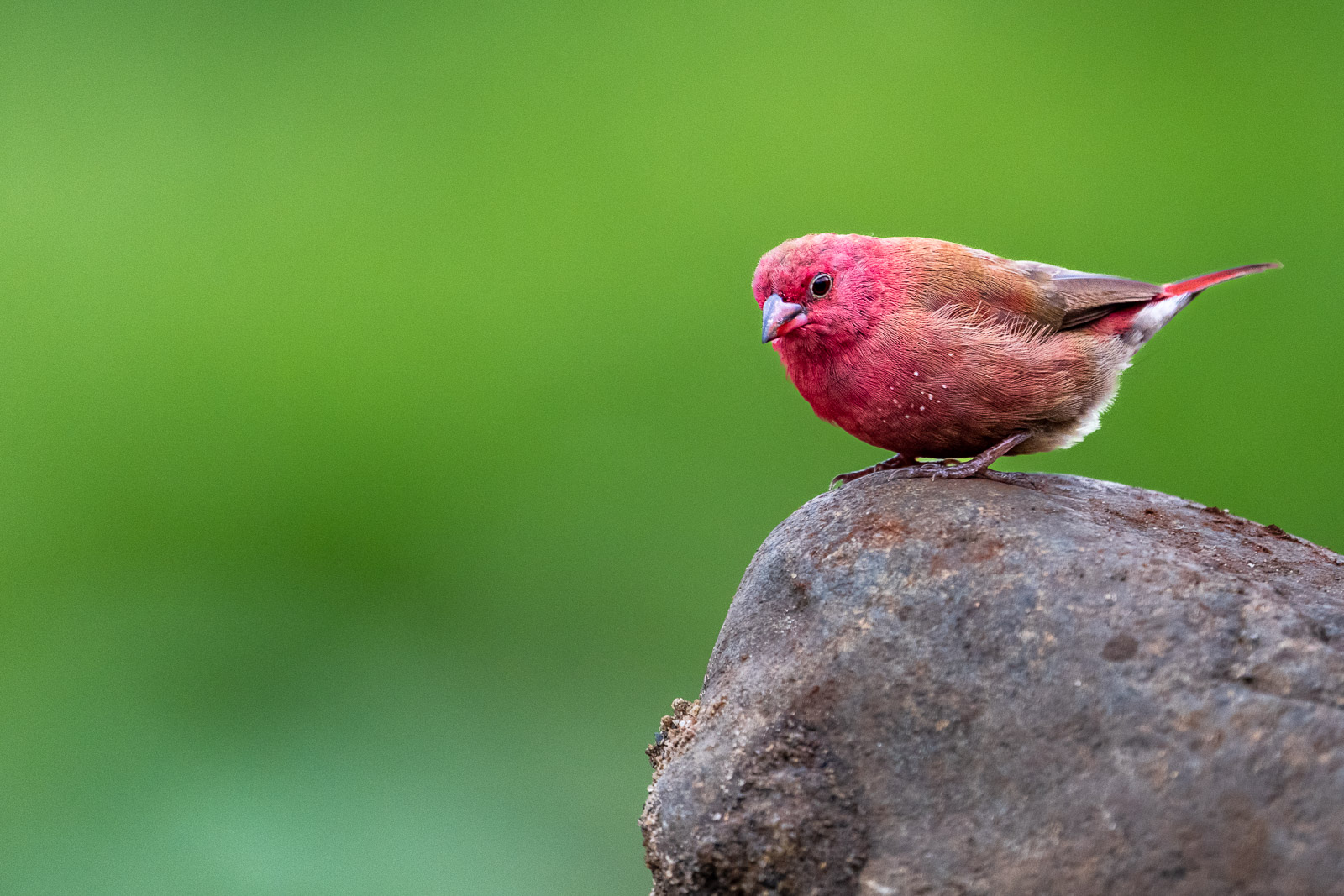 Zululand-Suedafrika-2022-117