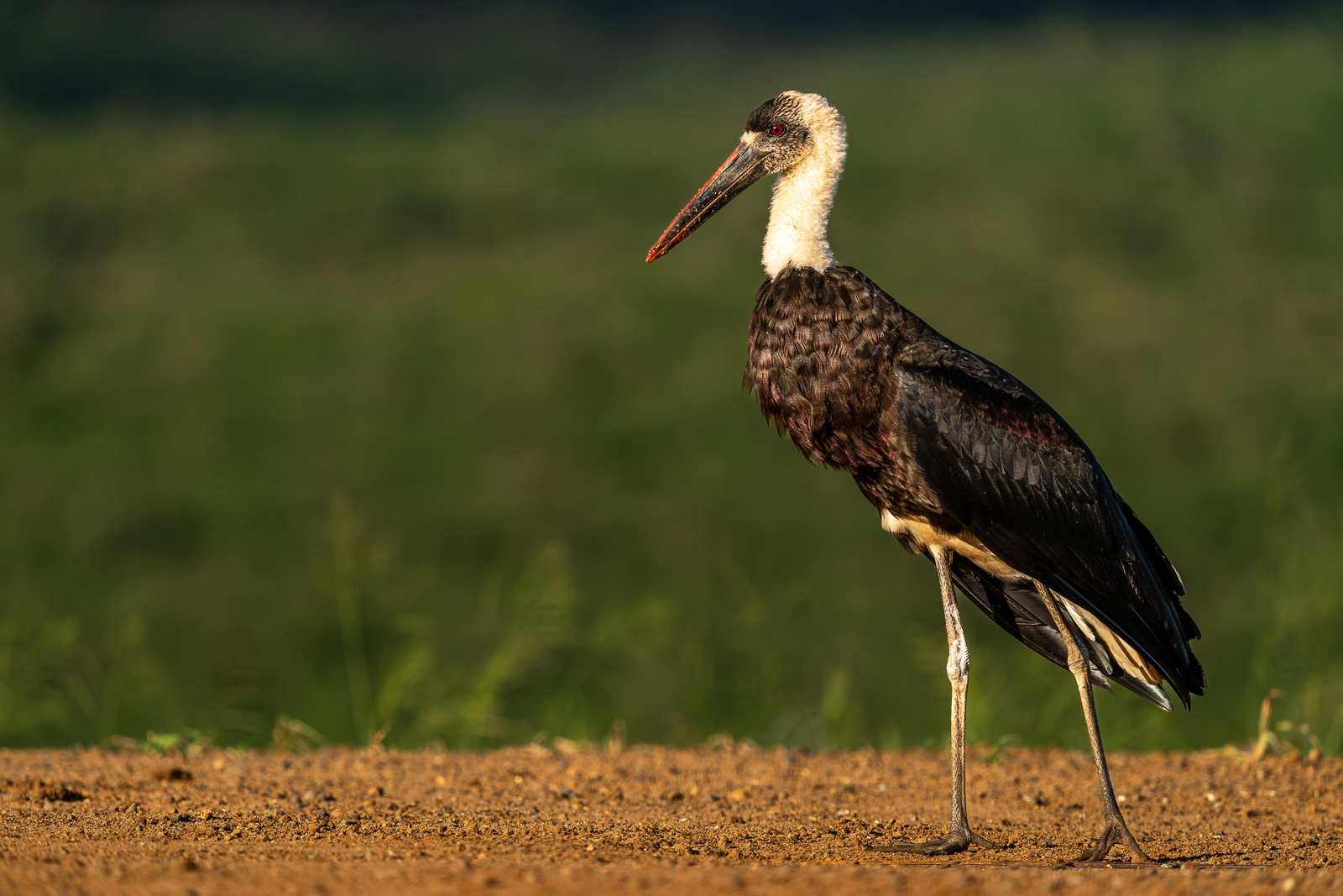 Zululand-Suedafrika-2022-124