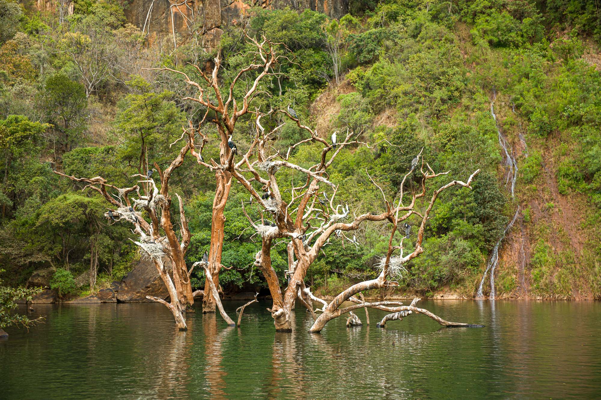 Blyde_River_Canyon_CRW_0690