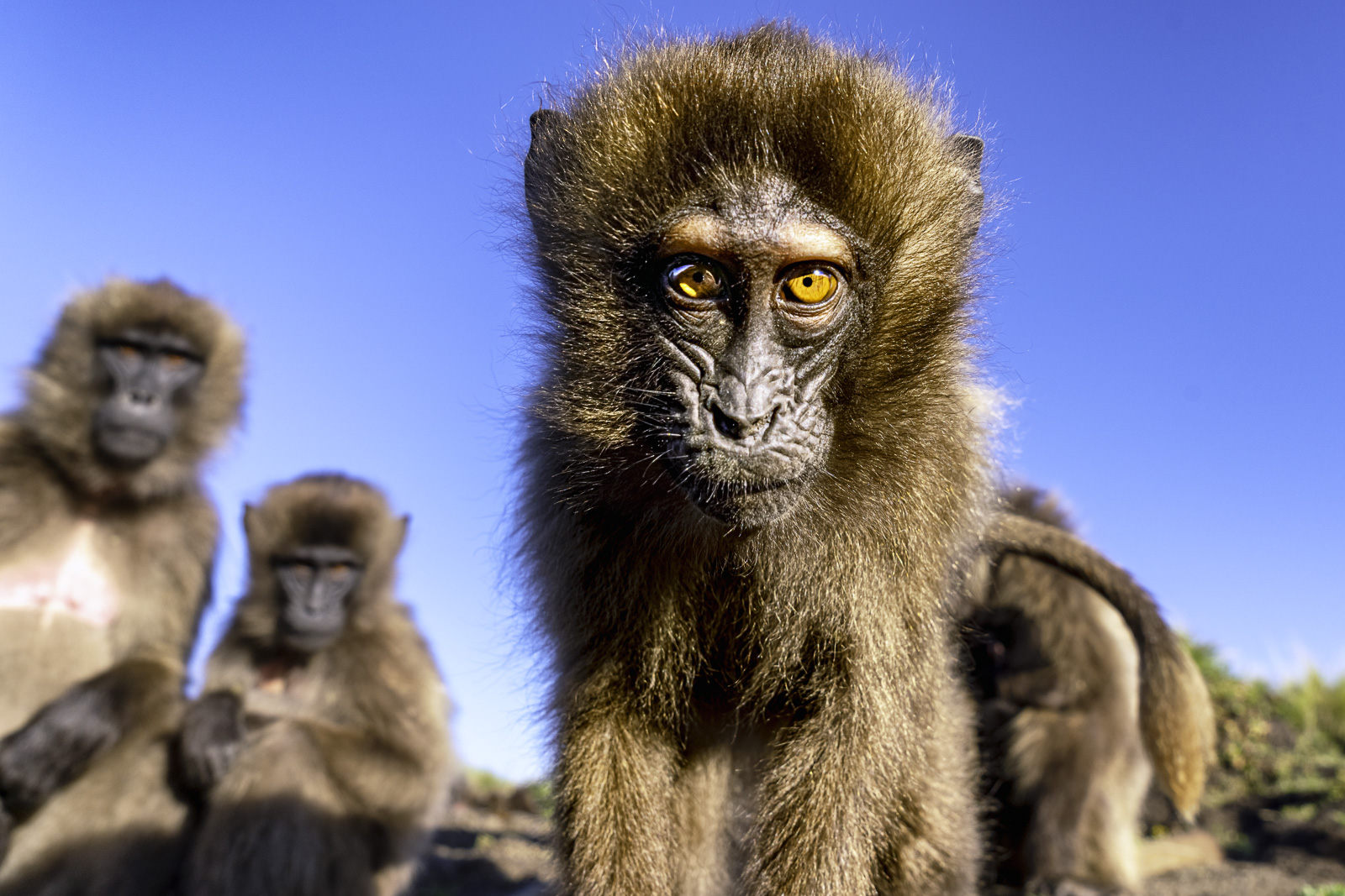 Äthiopien_Fotoreise_105