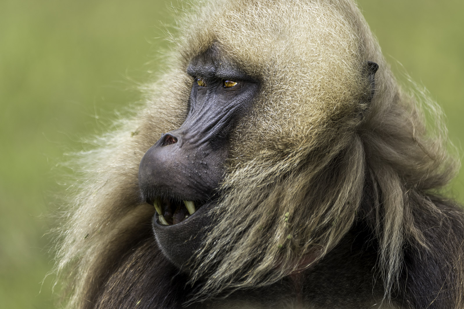 Äthiopien_Fotoreise_111