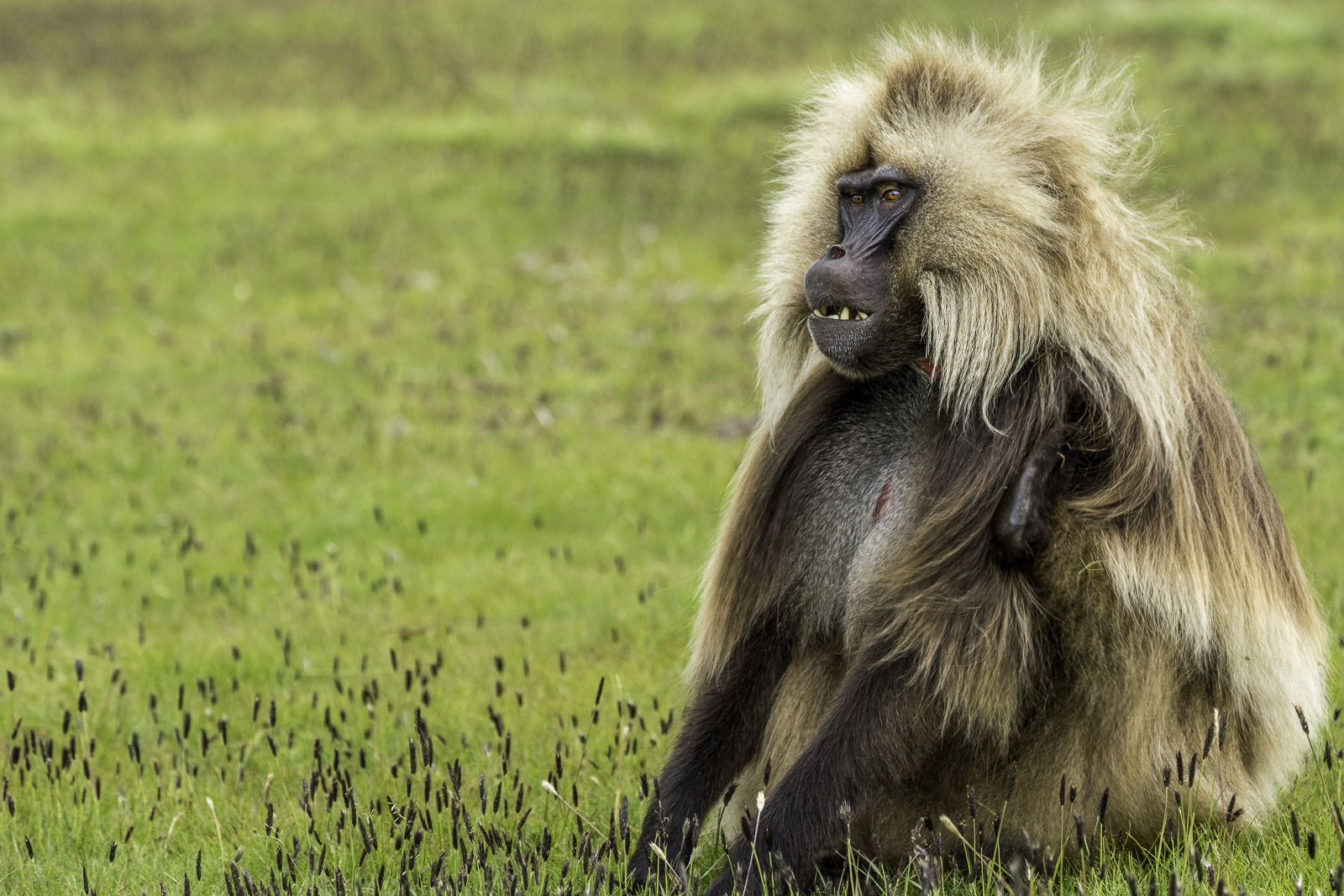 Äthiopien_Fotoreise_113