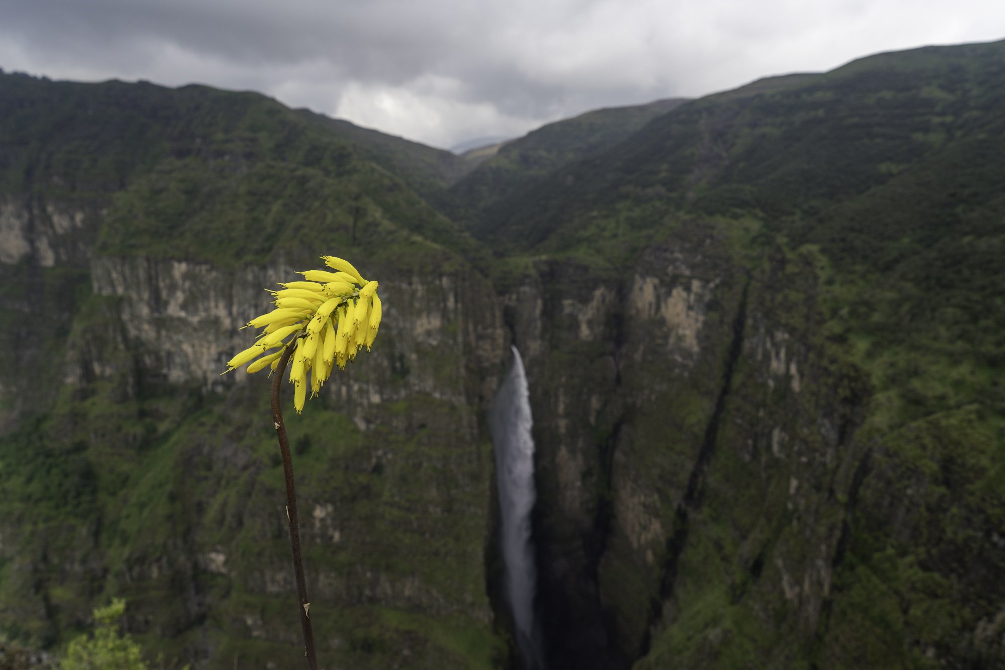 Aethiopien_Fotoreise_Äthiopien_590