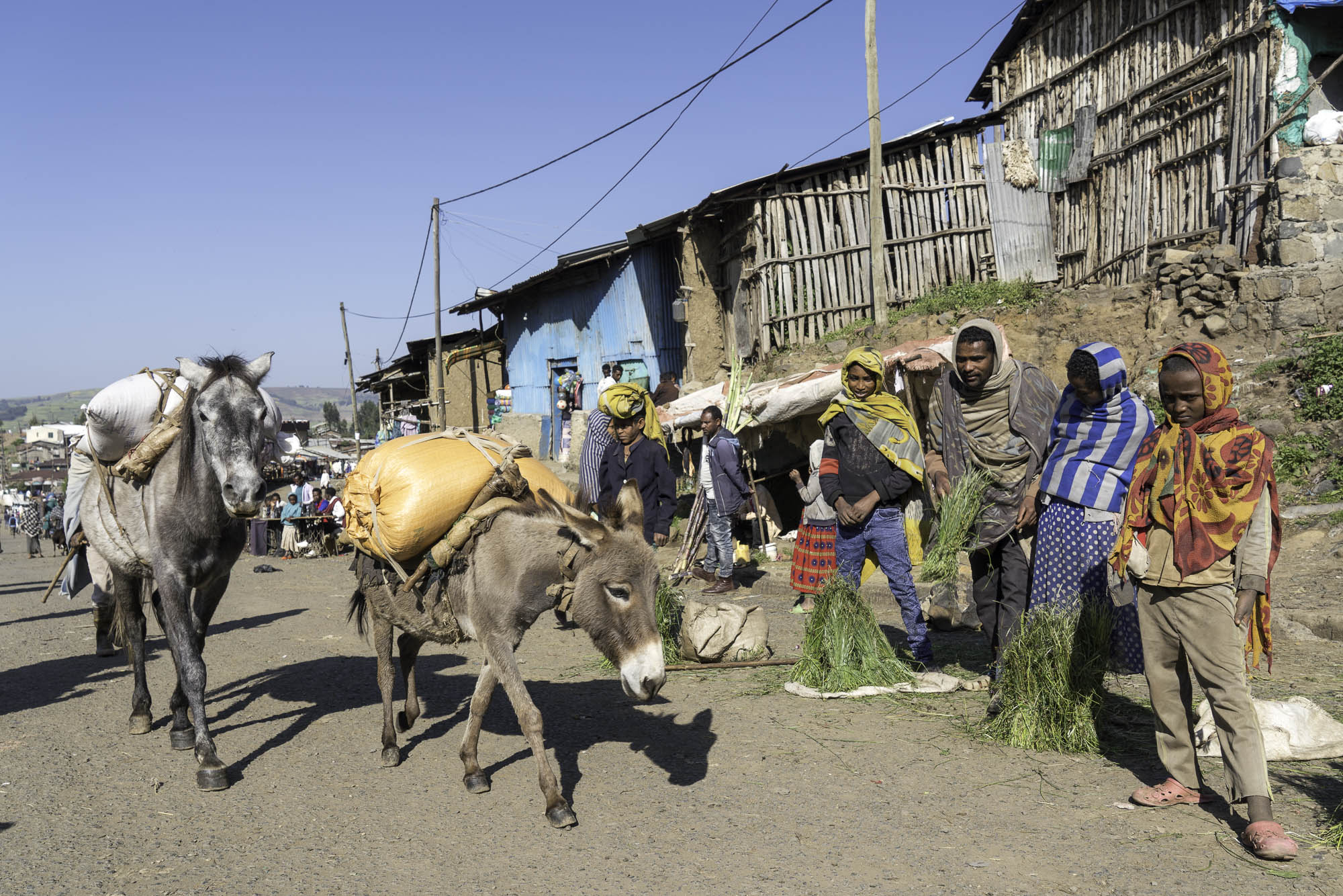 Aethiopien_Fotoreise_Äthiopien_606