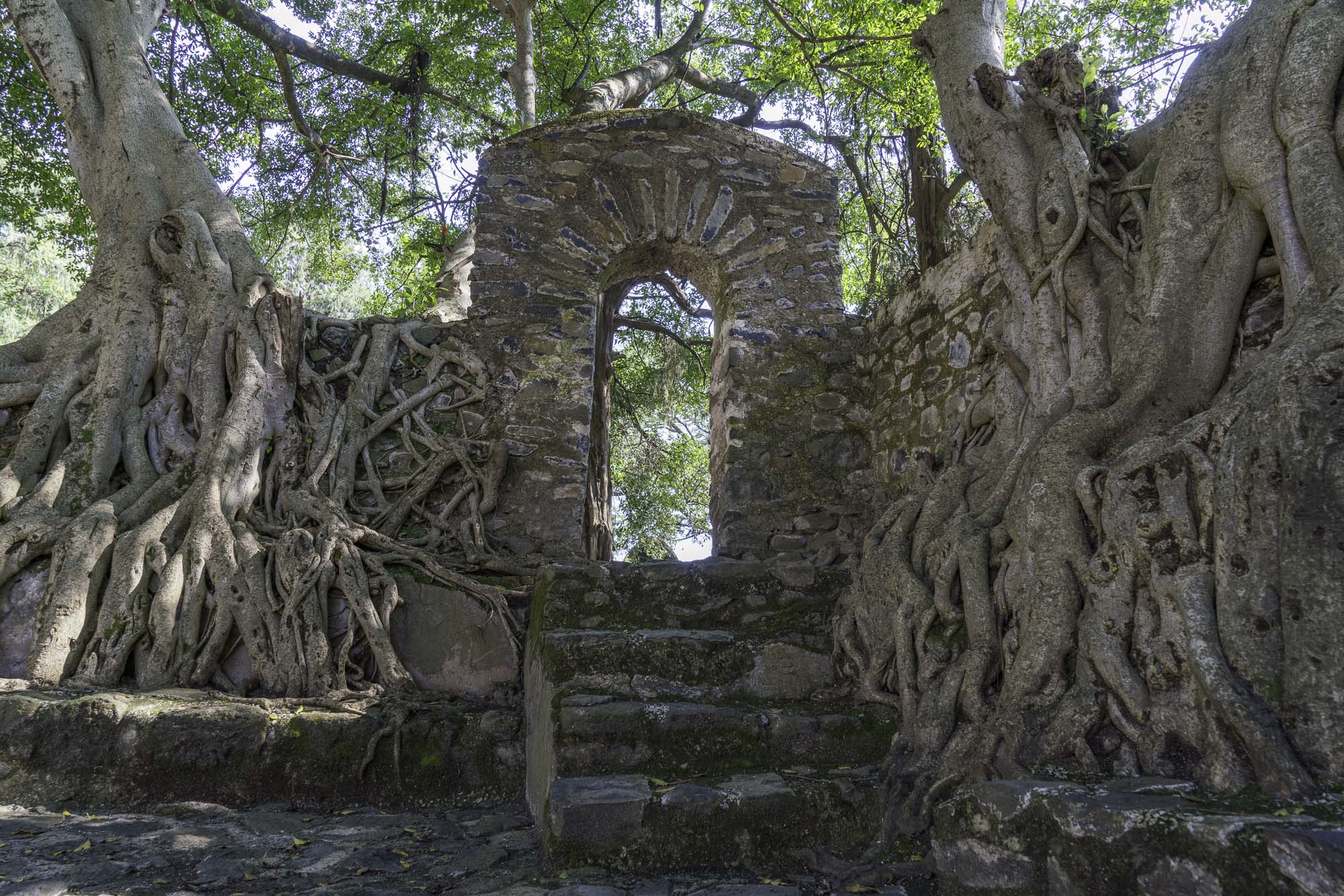 Aethiopien_Fotoreise_Äthiopien_617