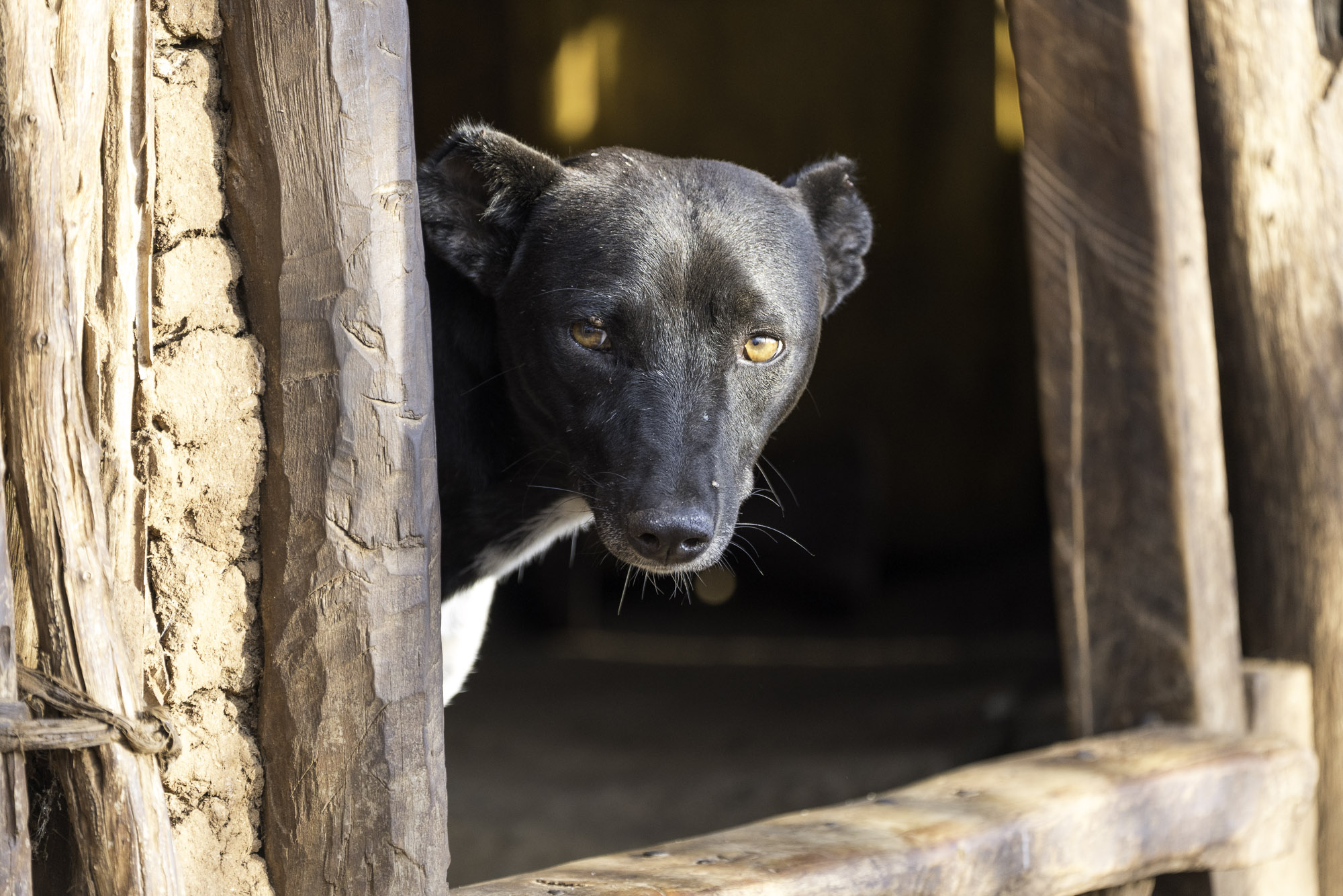 Aethiopien_Fotoreise_Äthiopien_692