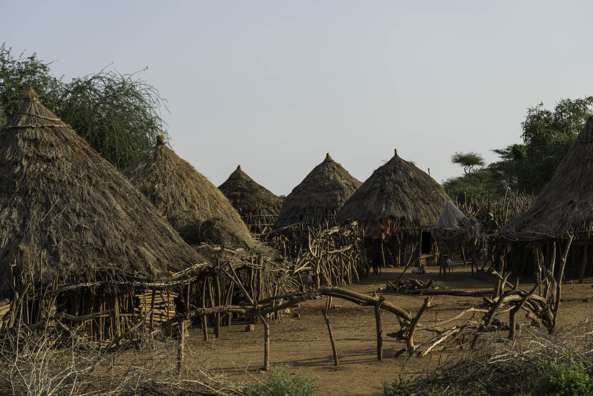 Aethiopien_Fotoreise_Äthiopien_693