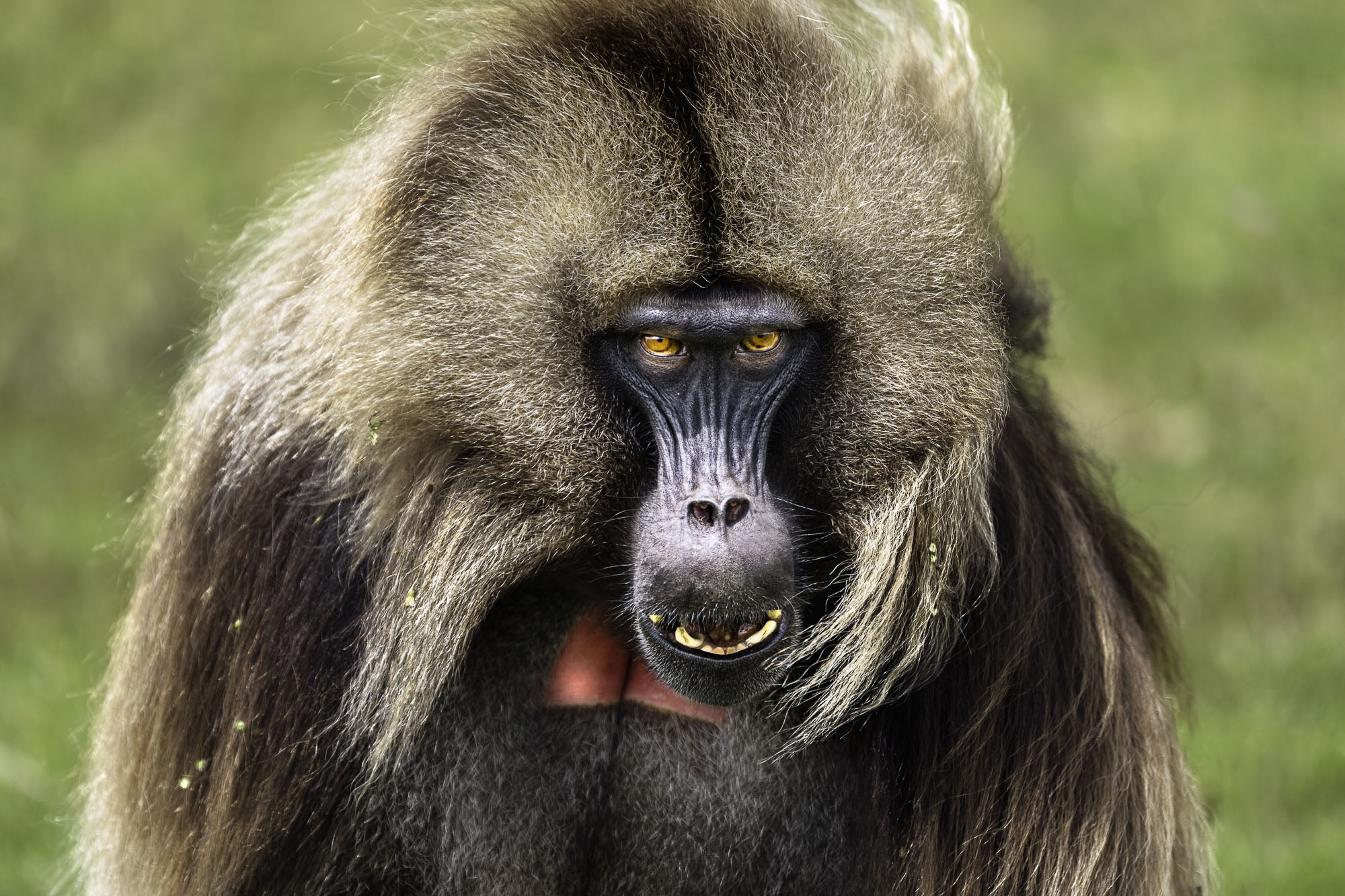 Aethiopien_Fotoreise_Äthiopien_730