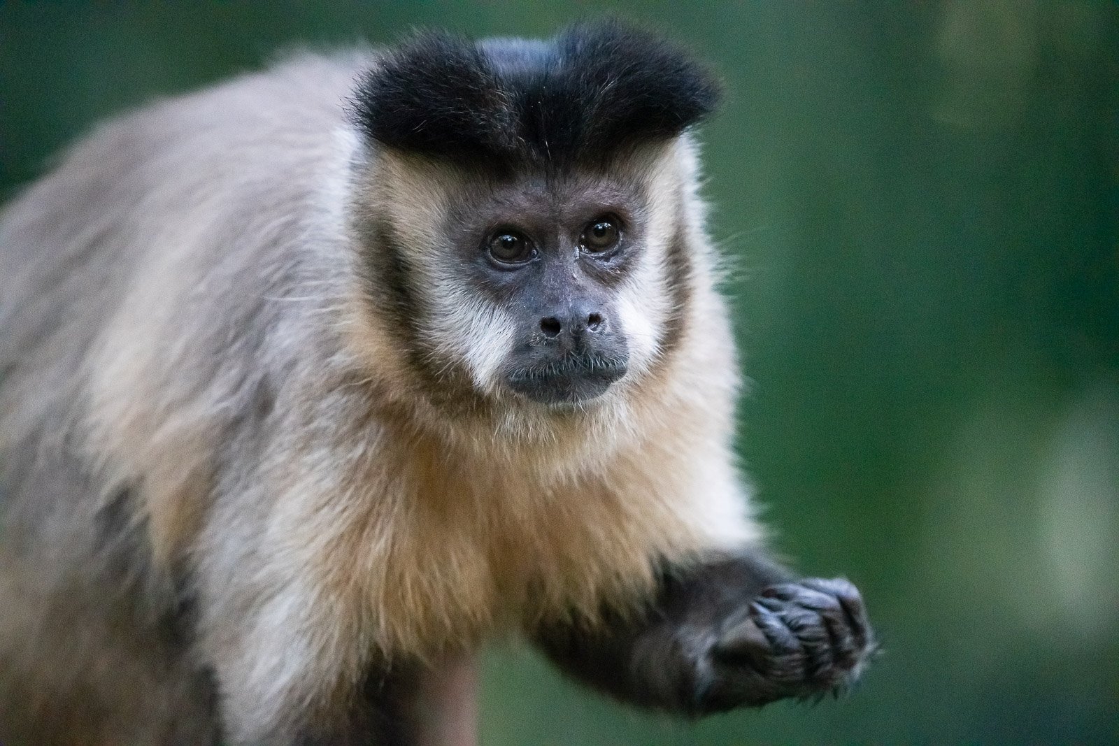 Fotoreise_Fotoworkshop_Costa_Rica012_