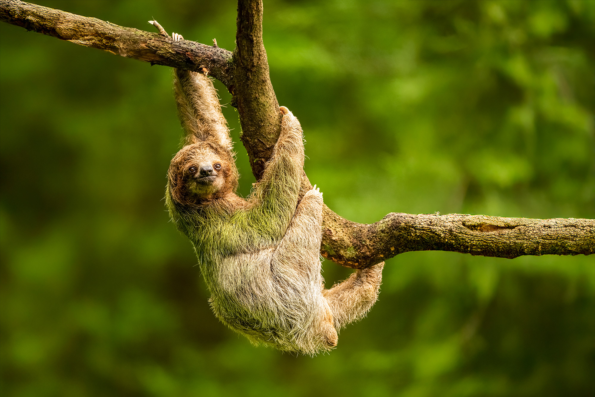 Fotoreise_Fotoworkshop_Costa_Rica015_
