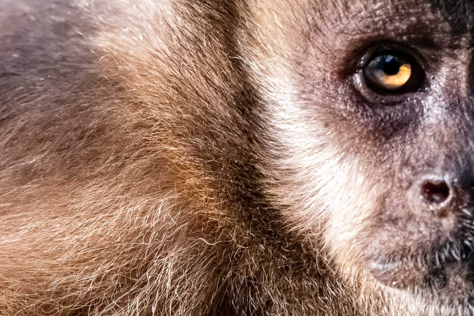 Fotoreise_Fotoworkshop_Costa_Rica031_