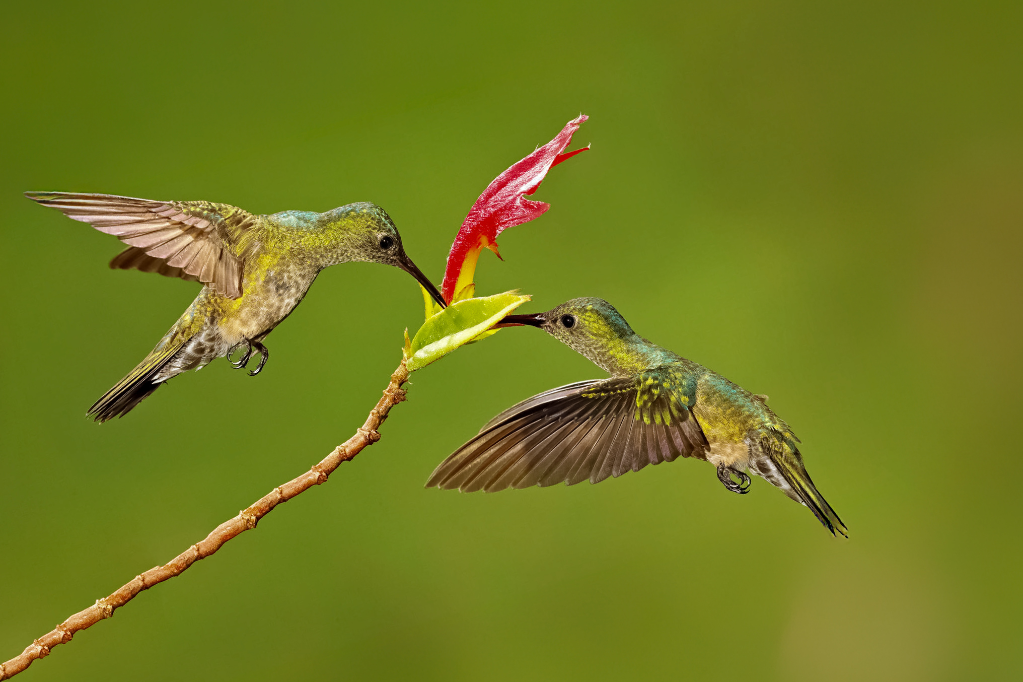 Fotoreise_Fotoworkshop_Costa_Rica033_
