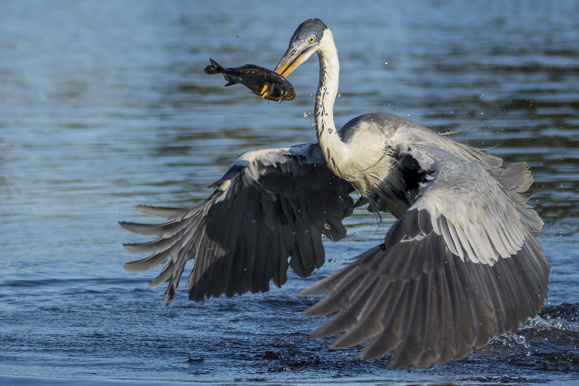 Fotoreise_Fotoworkshop_Costa_Rica040_