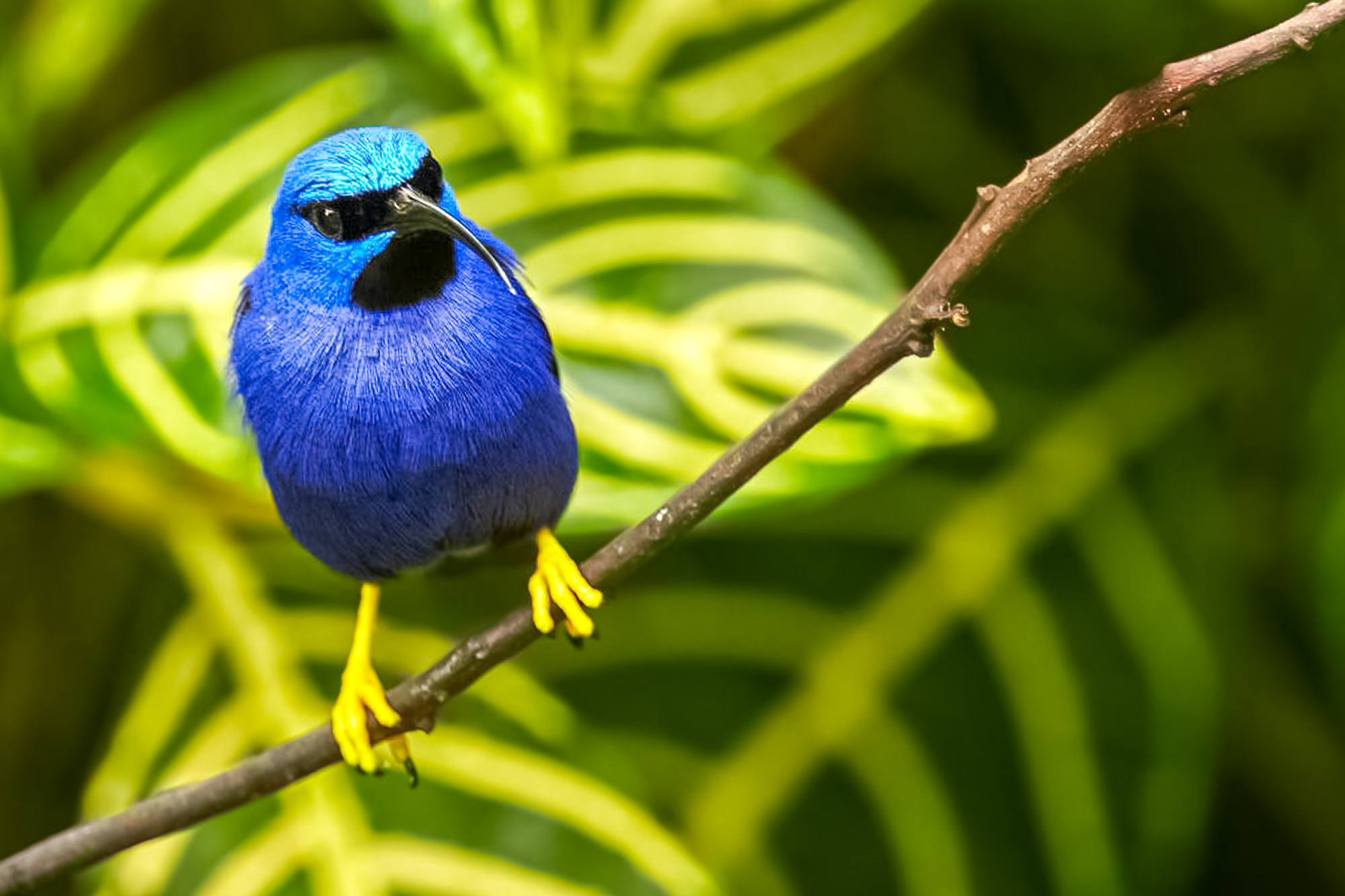 Fotoreise_Fotoworkshop_Costa_Rica049_